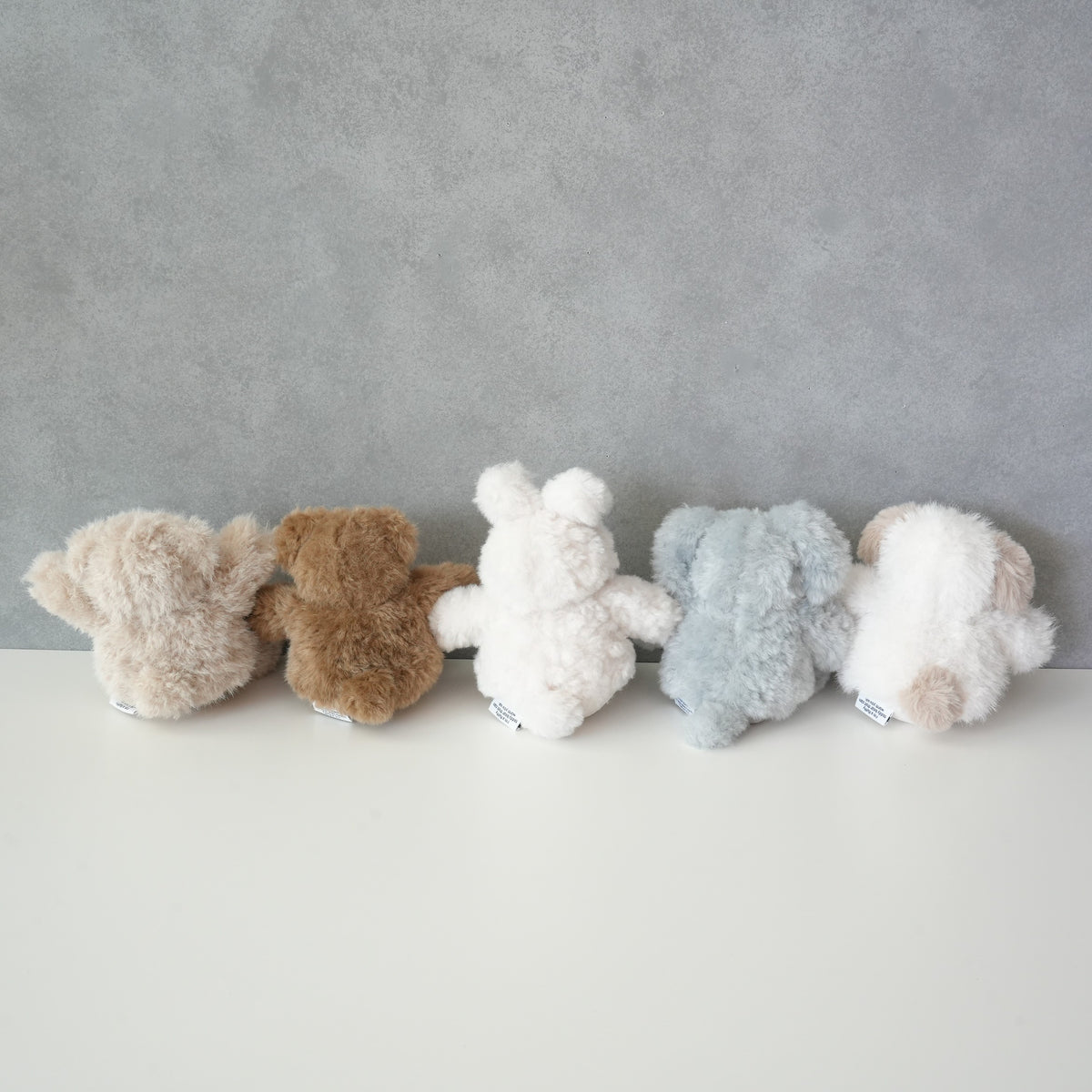 TEDDY OSUWARI NUIGURUMI