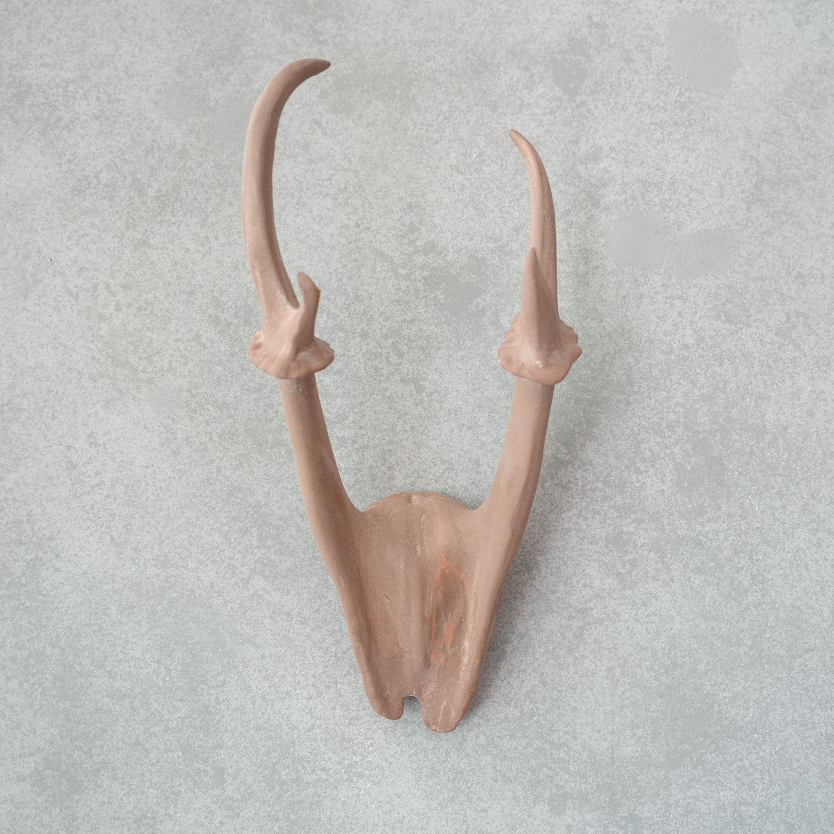 Deer Skull Cap DS-002