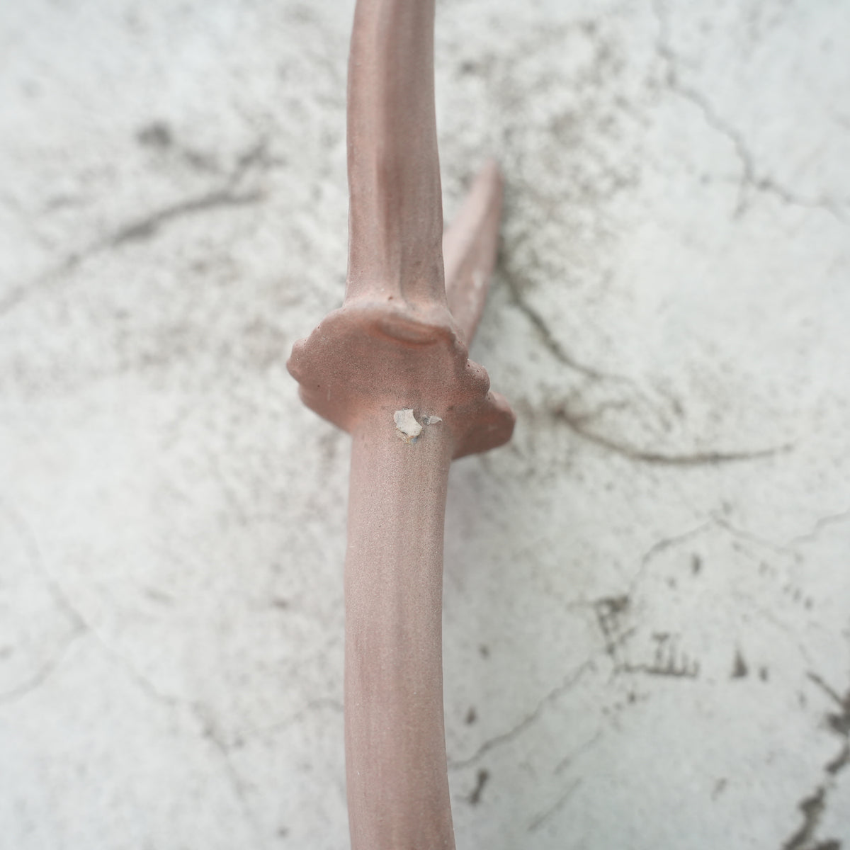 Deer Skull Cap DS-002