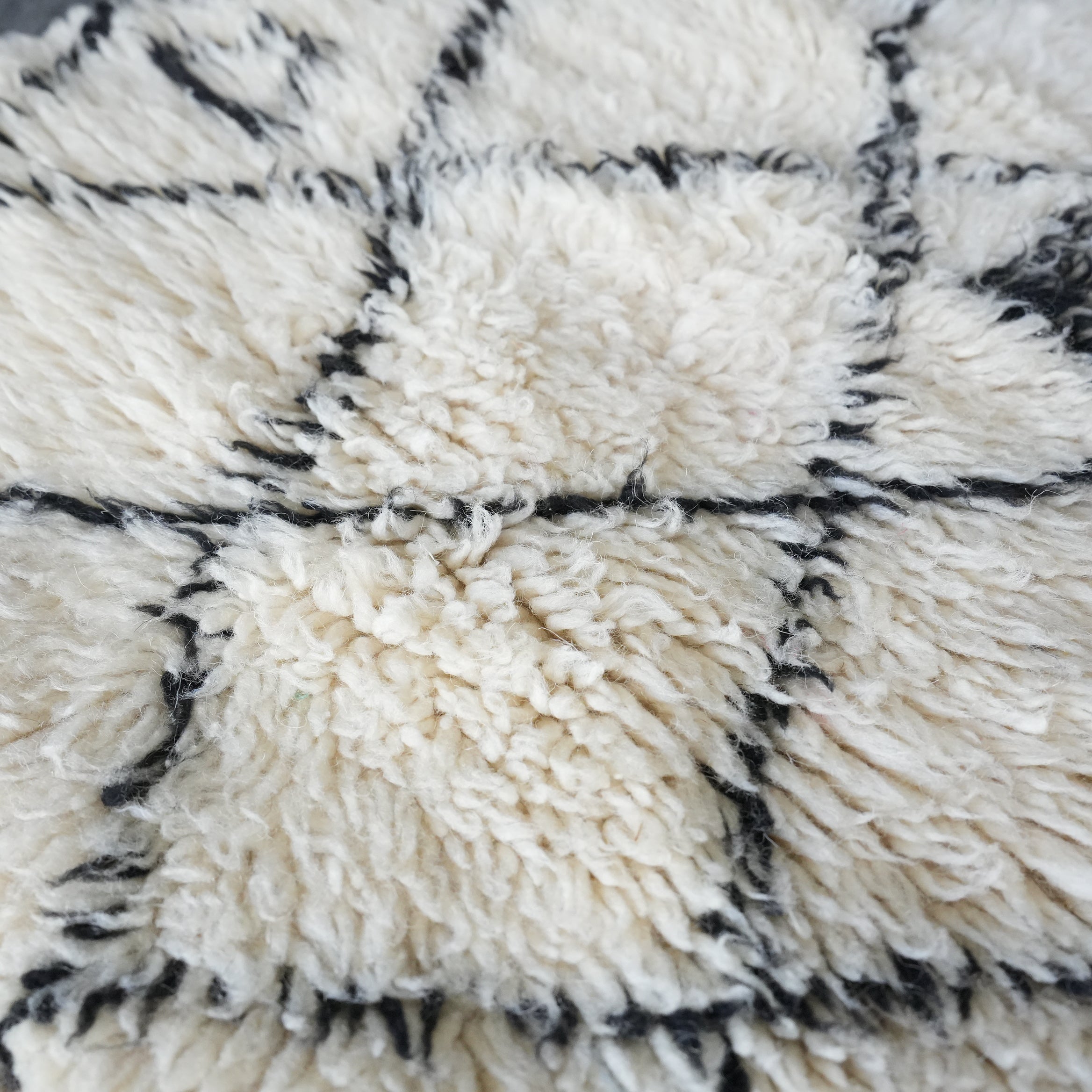 RUG the LIFE / Mrirt 184