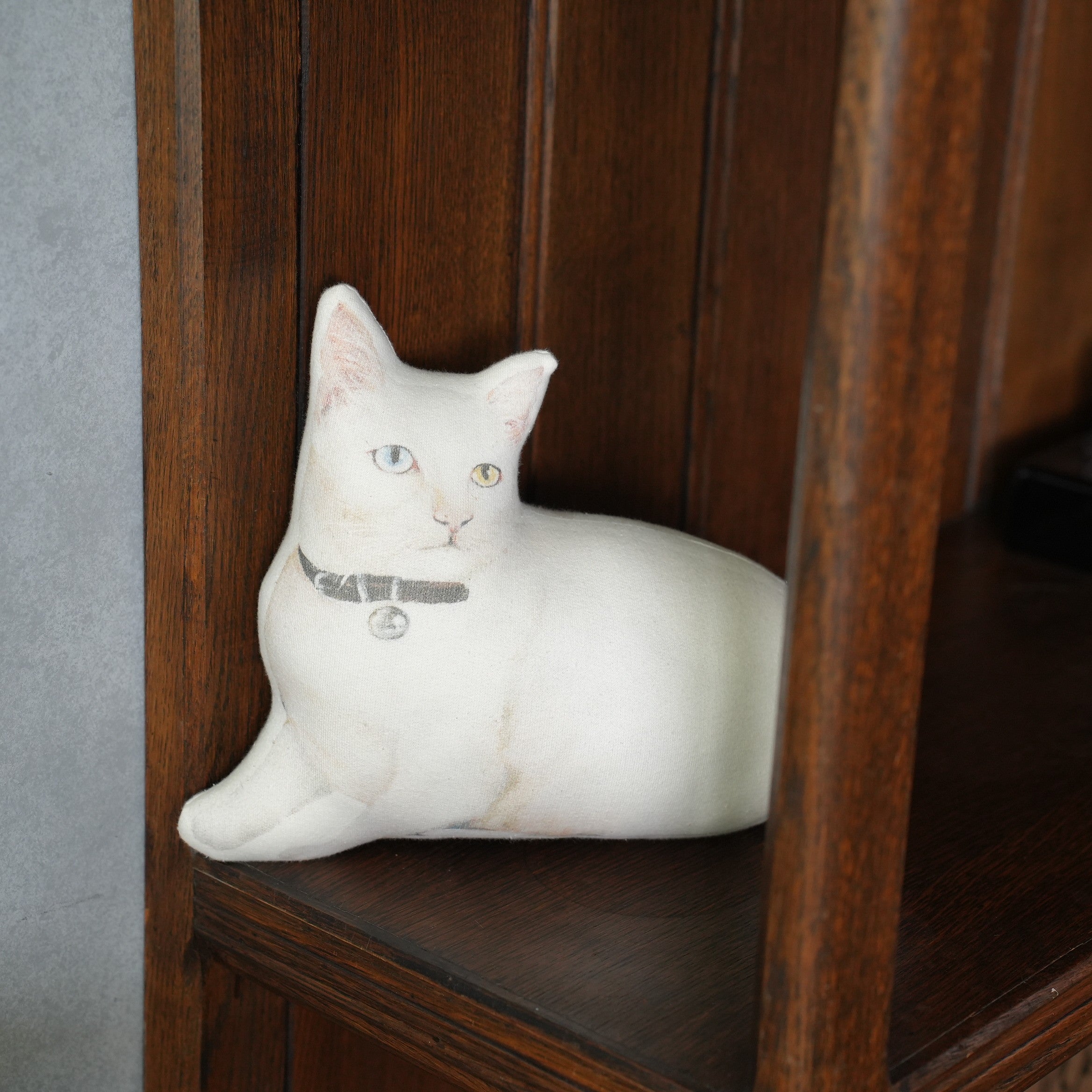 Cat Cushion
