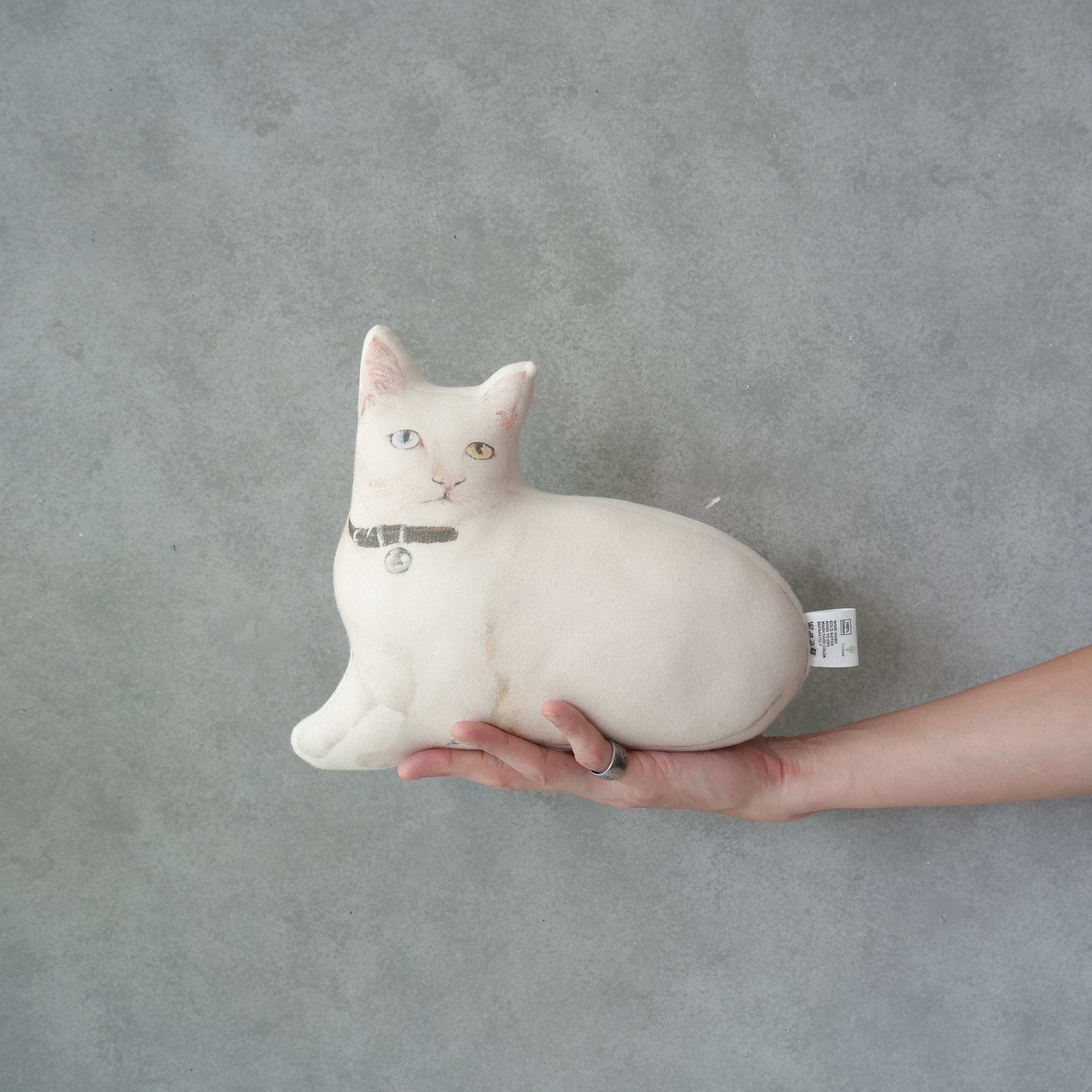 Cat Cushion