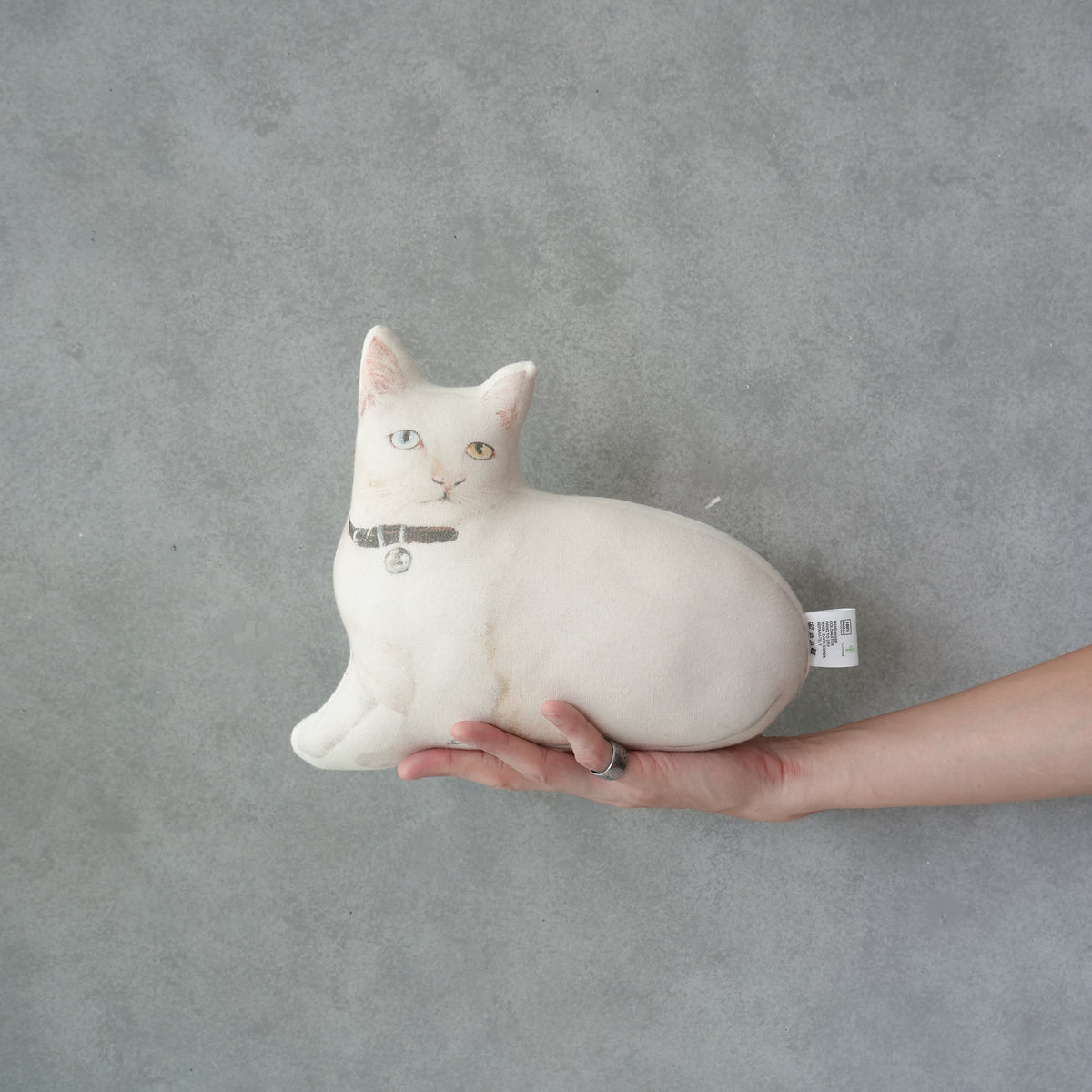 Cat Cushion