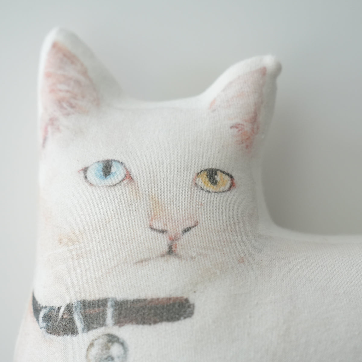 Cat Cushion