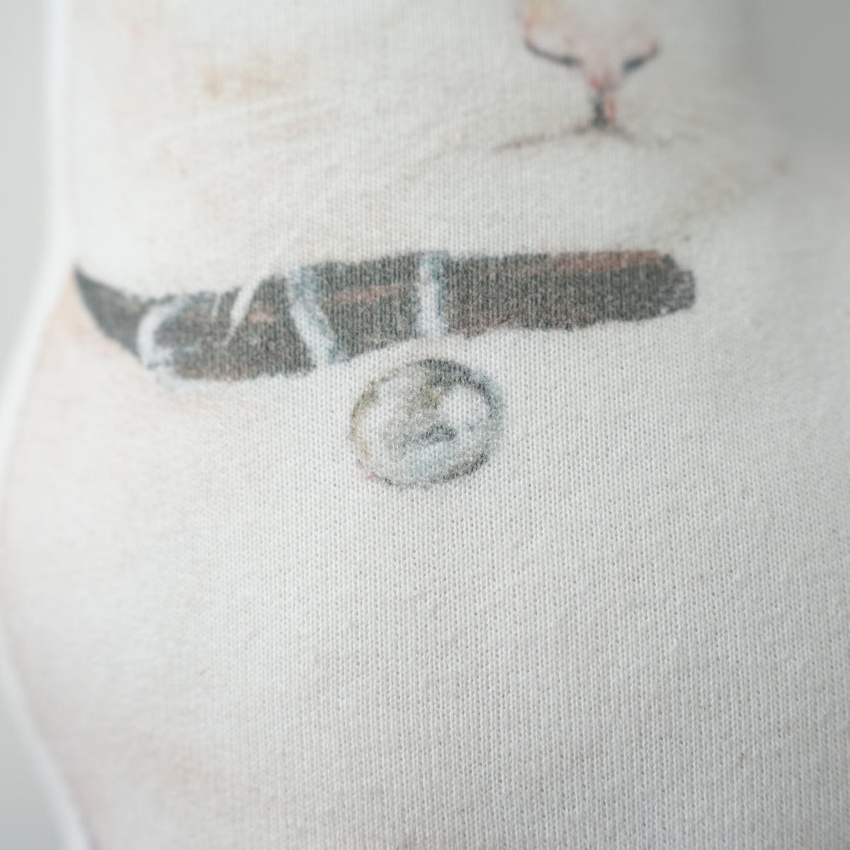 Cat Cushion