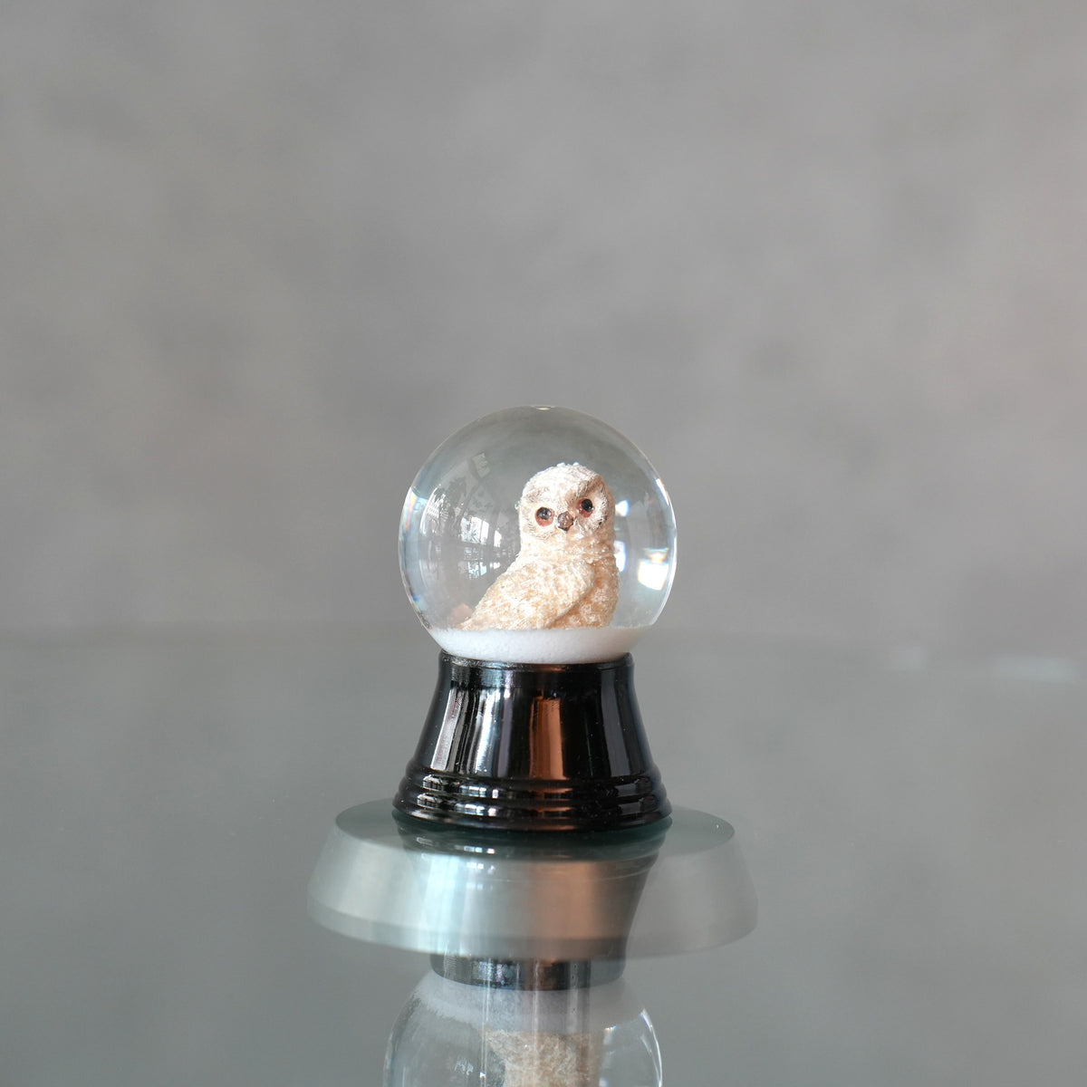 PERZY スノーグローブ 45mm　Snow Owl