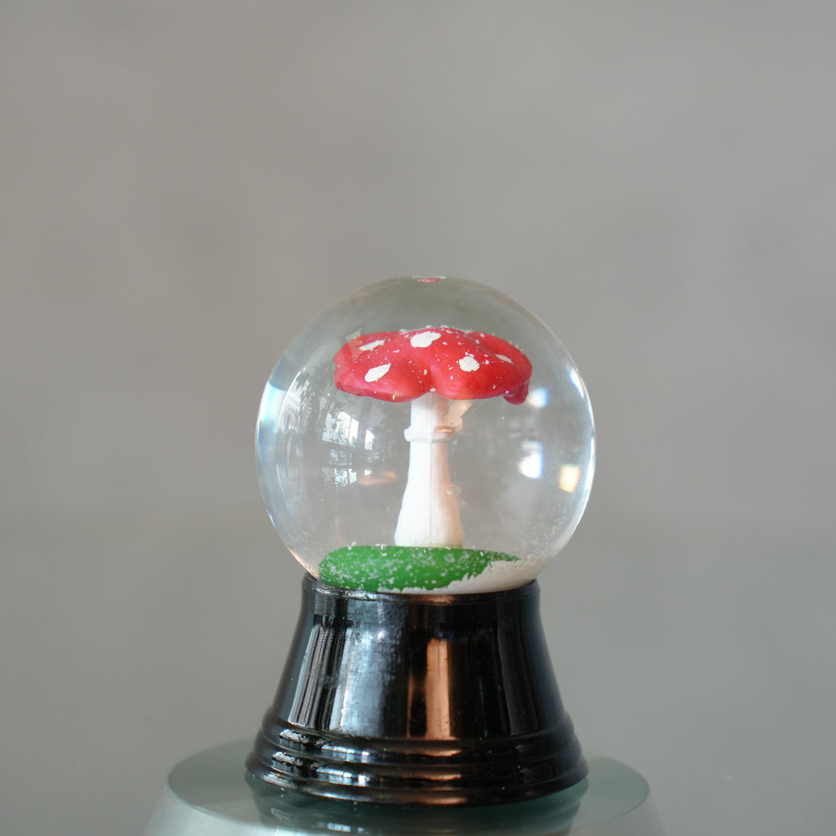 PERZY スノーグローブ 45mm　Mushroom