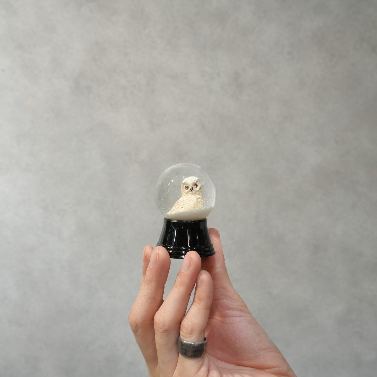 PERZY スノーグローブ 45mm　Snow Owl