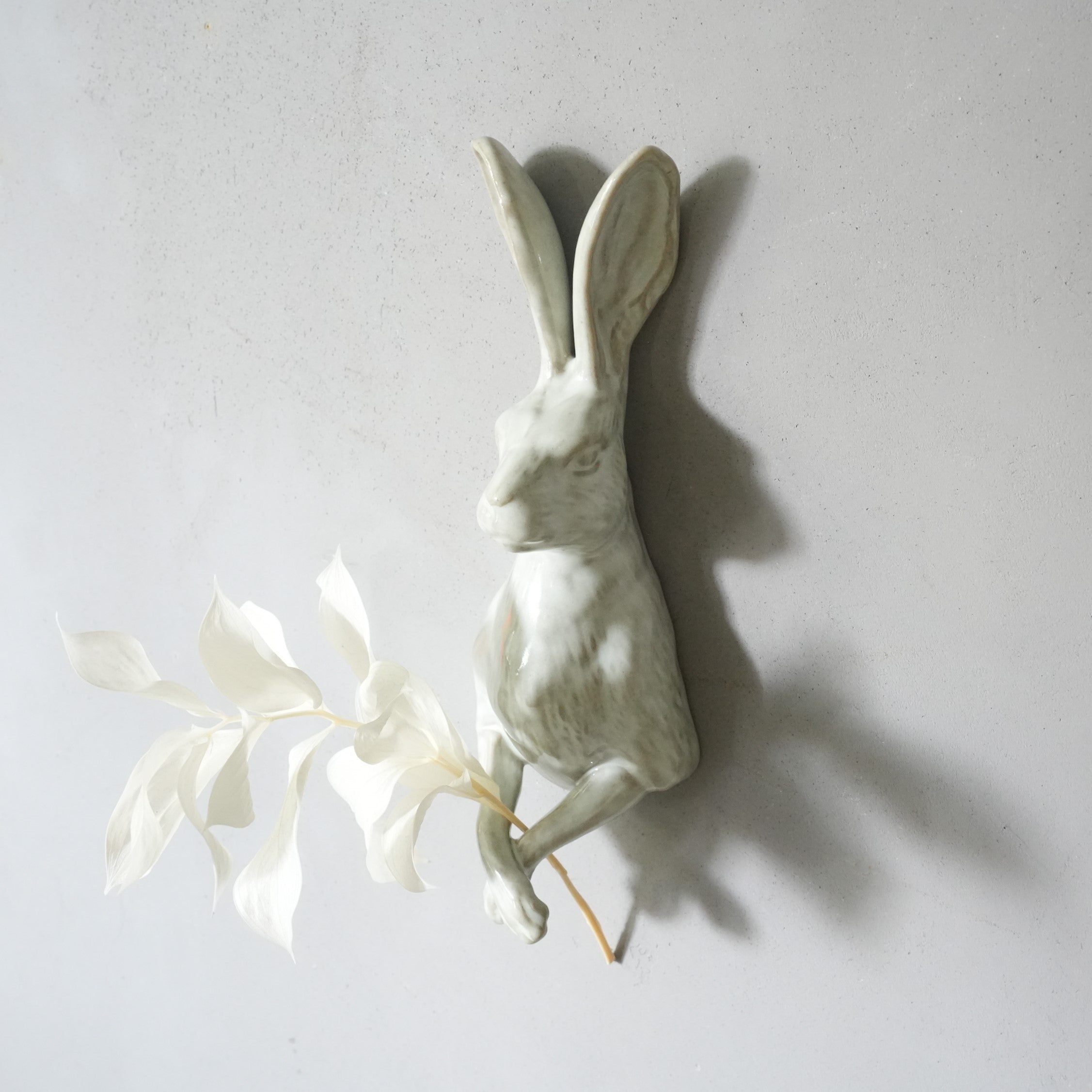 Curious Hare Hook White KN-026H-05