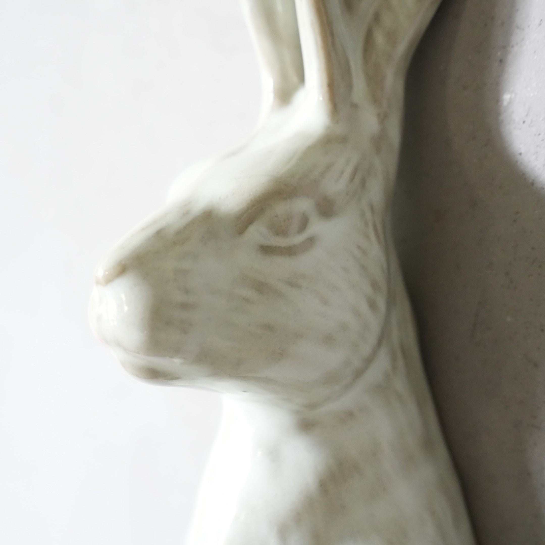 Curious Hare Hook White KN-026H-05