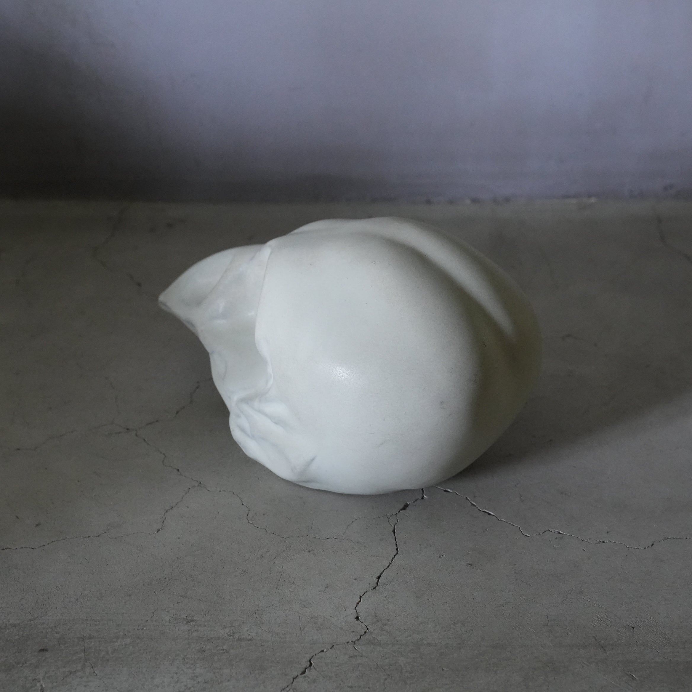 Bird Skull BSK-002-02