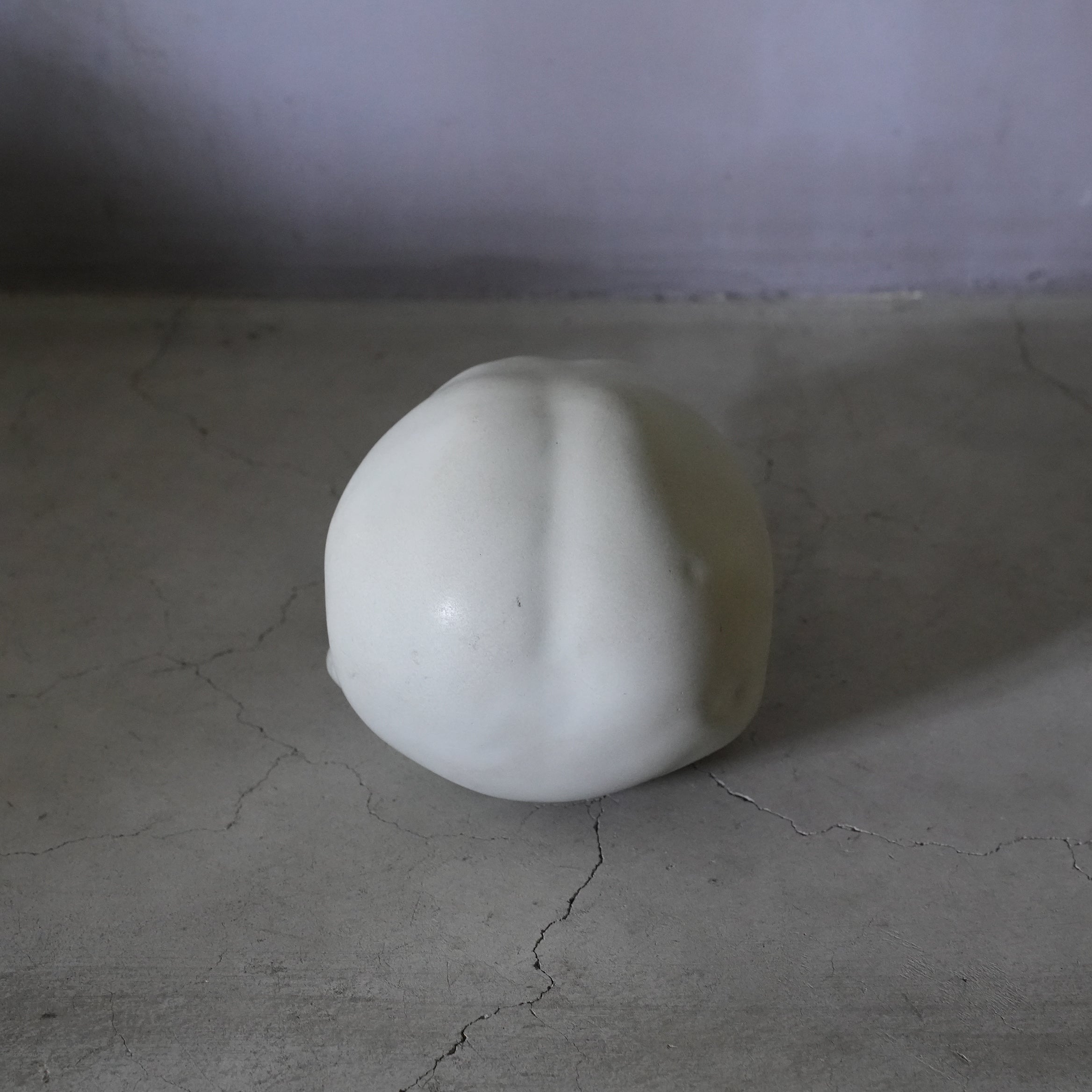 Bird Skull BSK-002-02