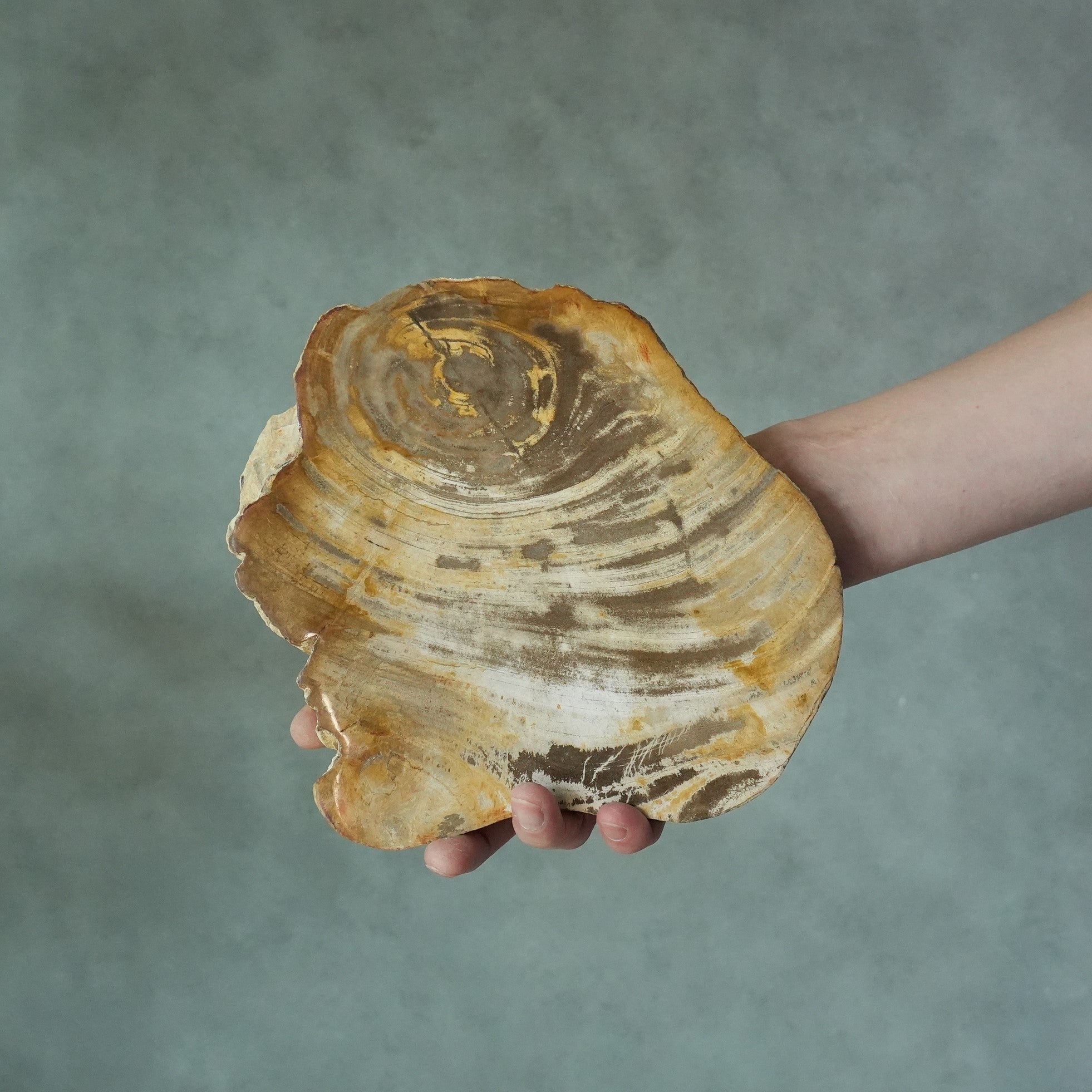 Wood Plate 20 Natural B