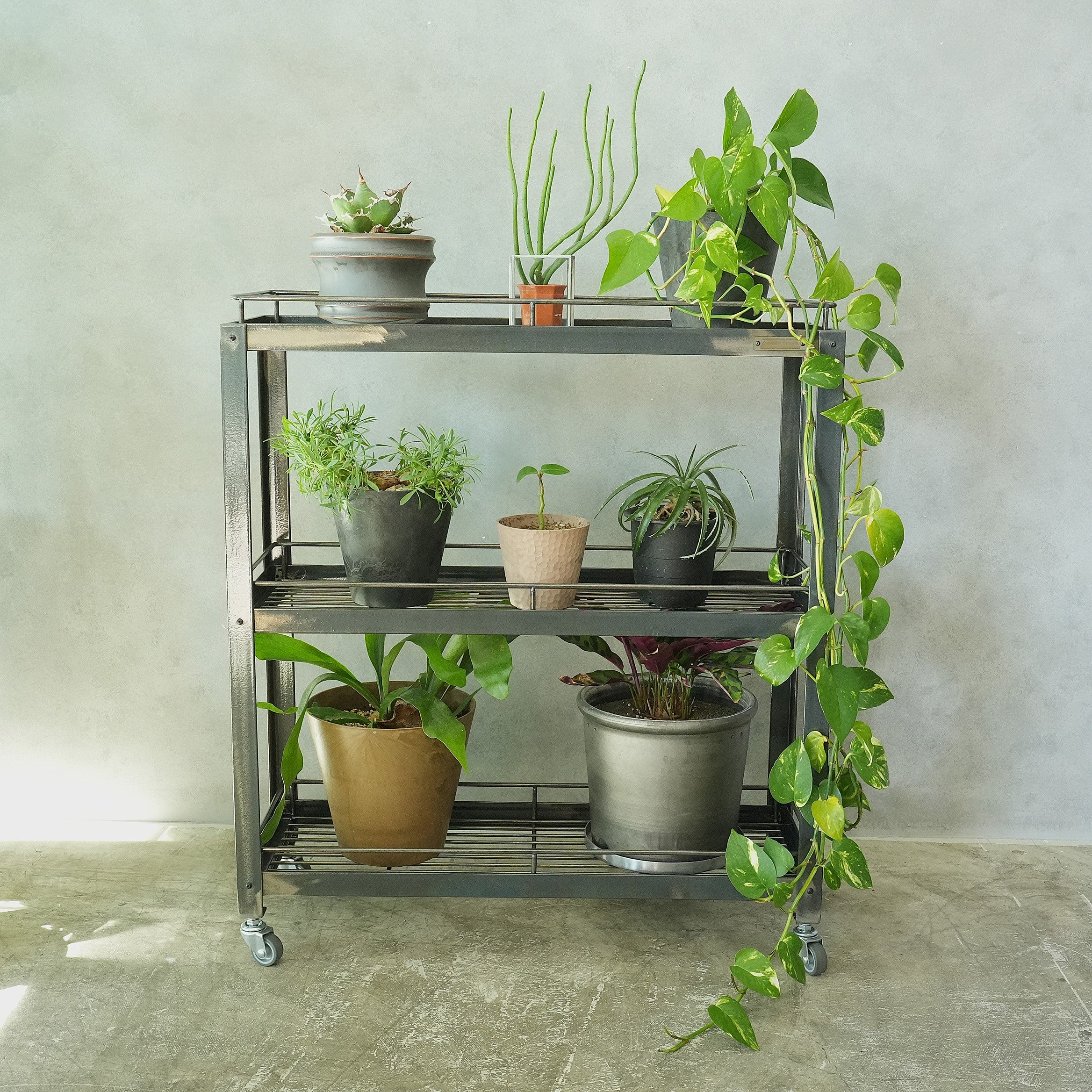 StahL Botanical Wire Rack