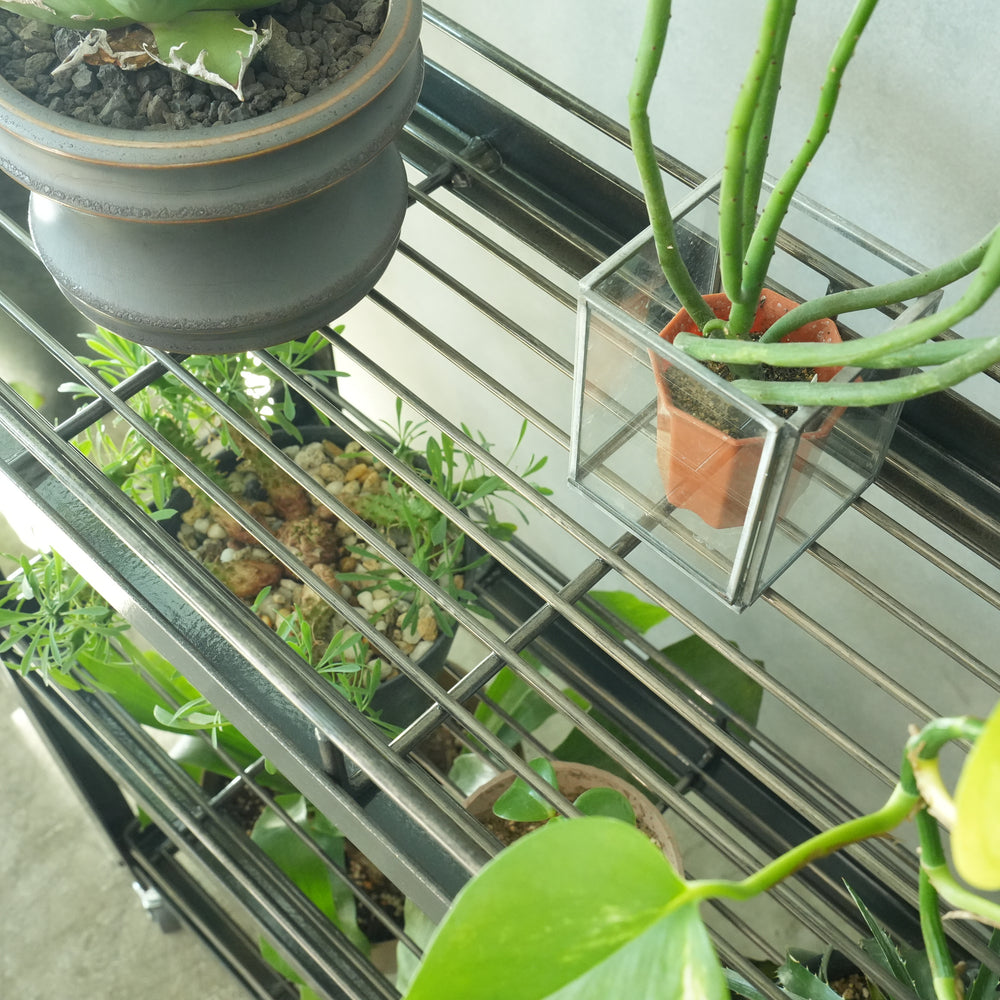 Botanical Rack StahL Botanical Wire Rack