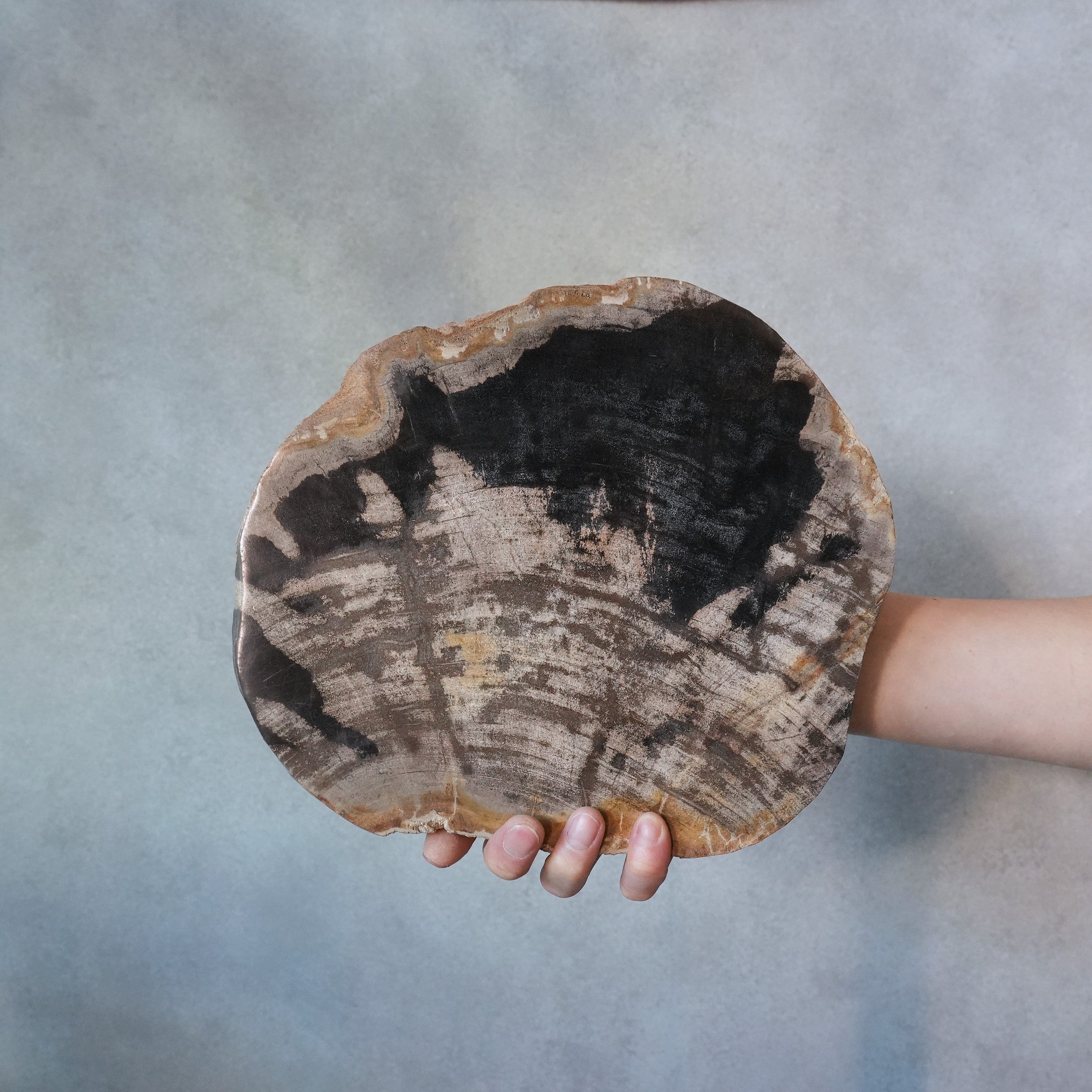 Wood Plate 20 Natural A