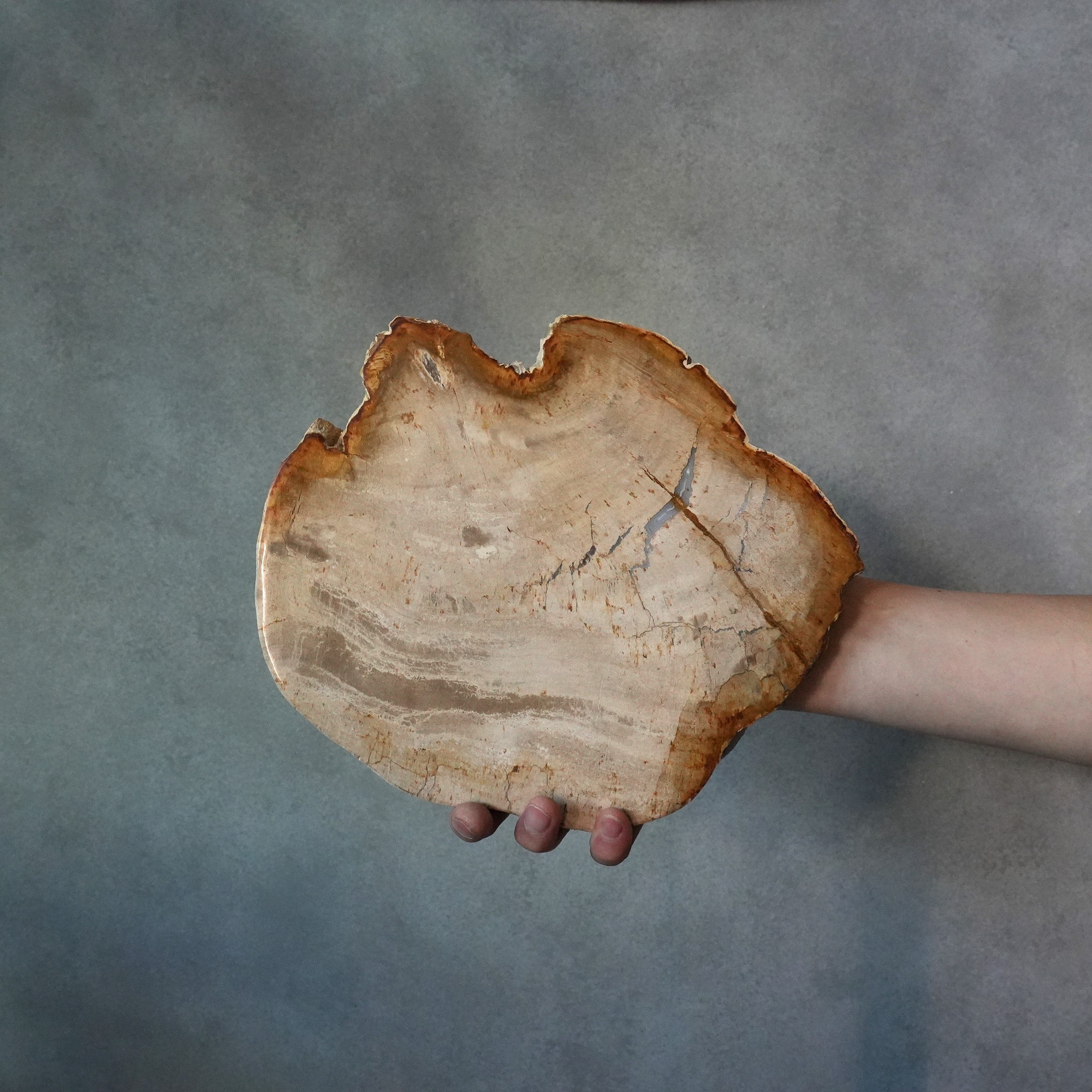 Wood Plate 20 Natural B