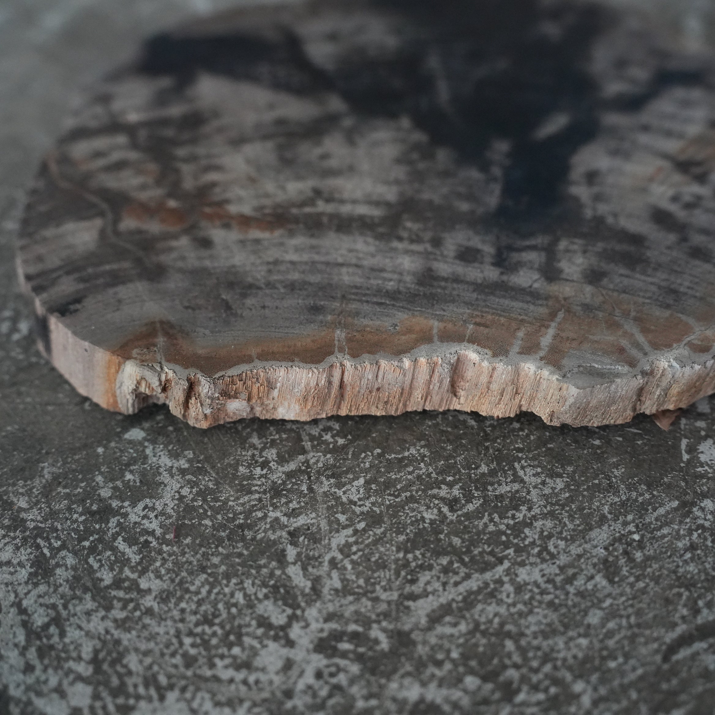 Wood Plate 20 Natural C