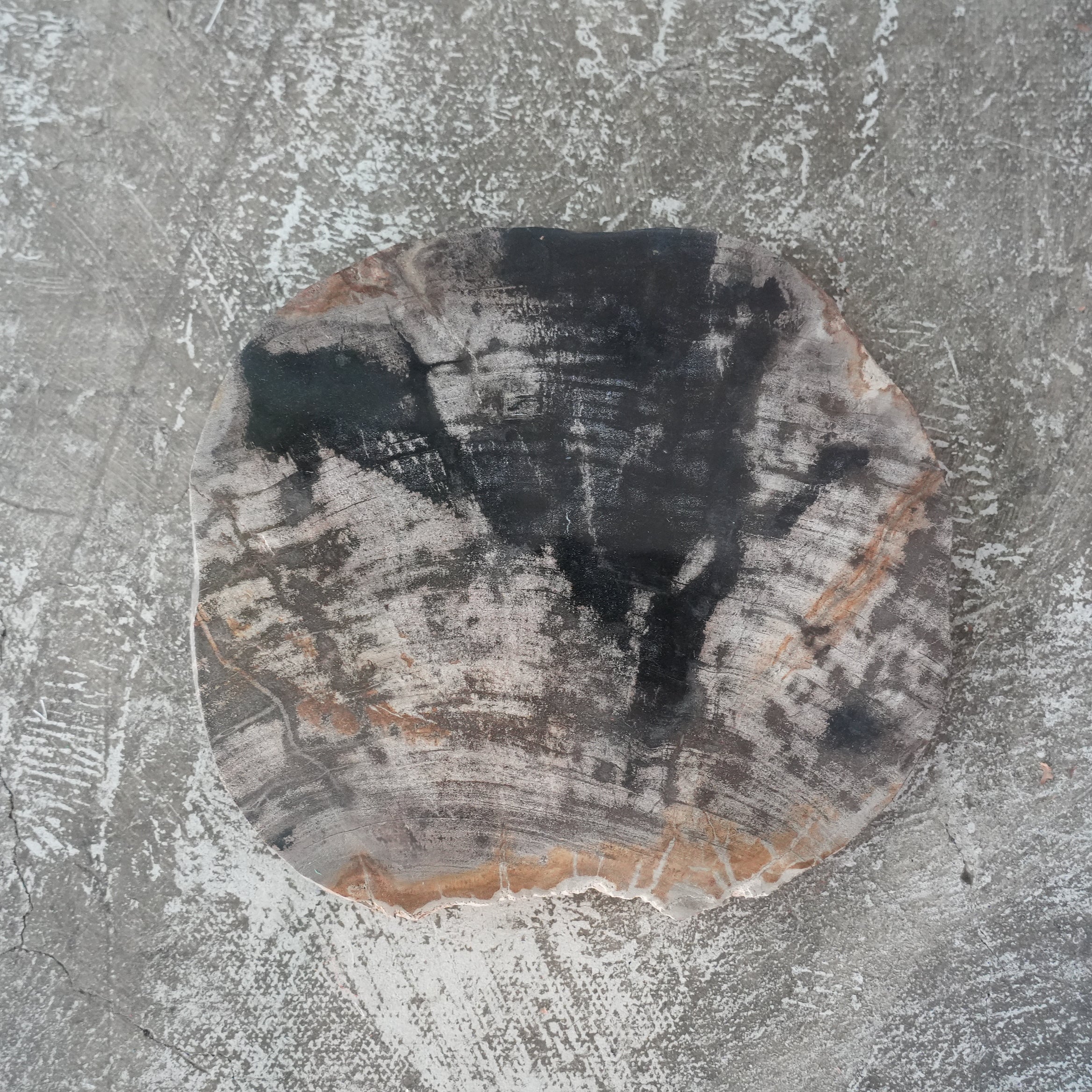 Wood Plate 20 Natural C