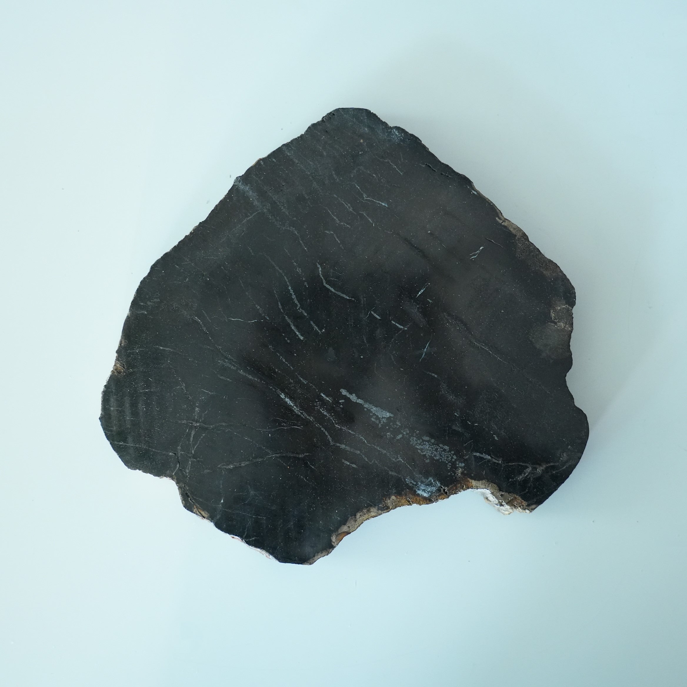 Wood Plate 20 Black B