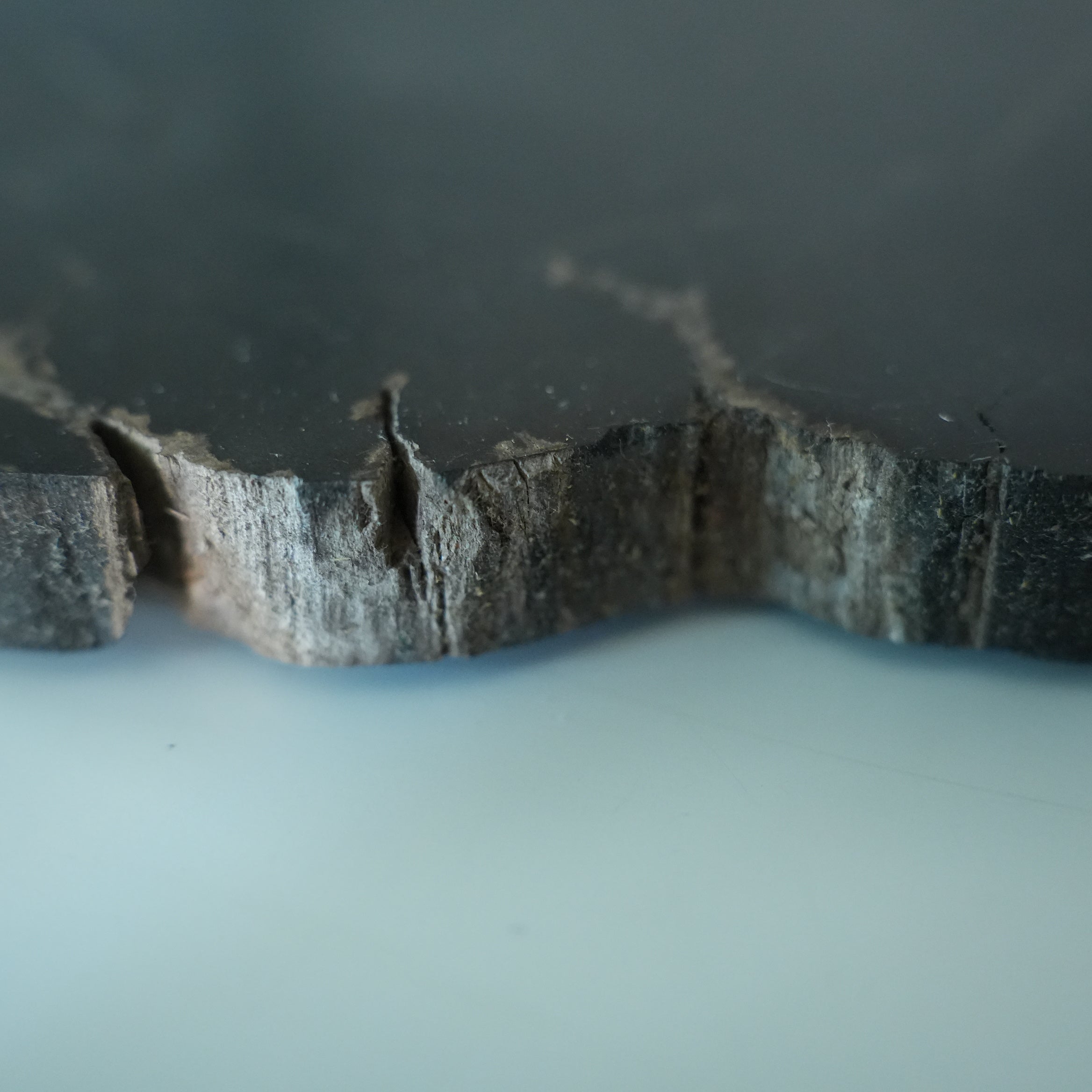 Wood Plate 20 Black A