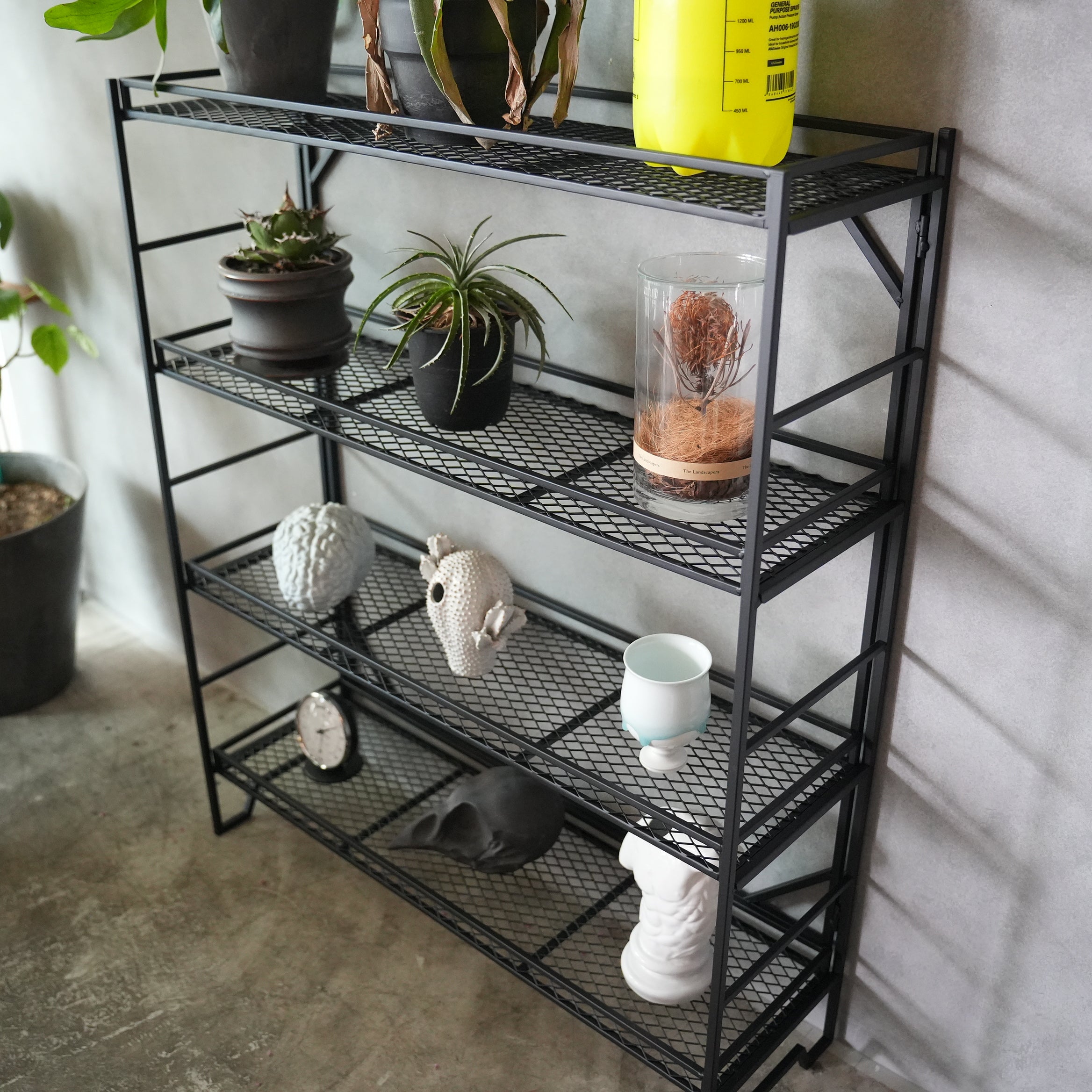 Plants Rack 4 layers