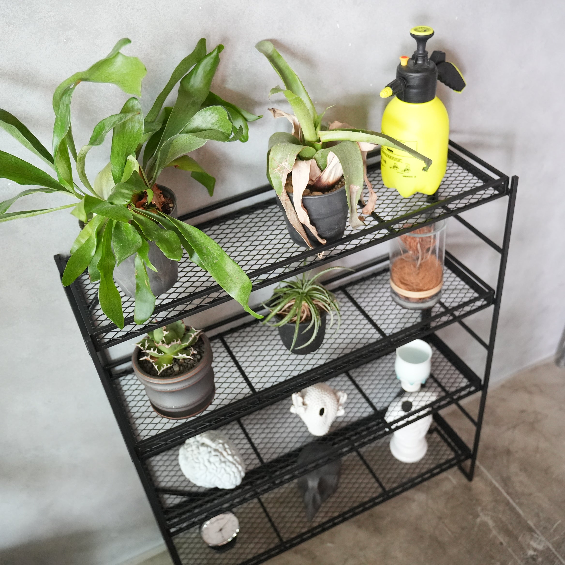 Plants Rack 4 layers