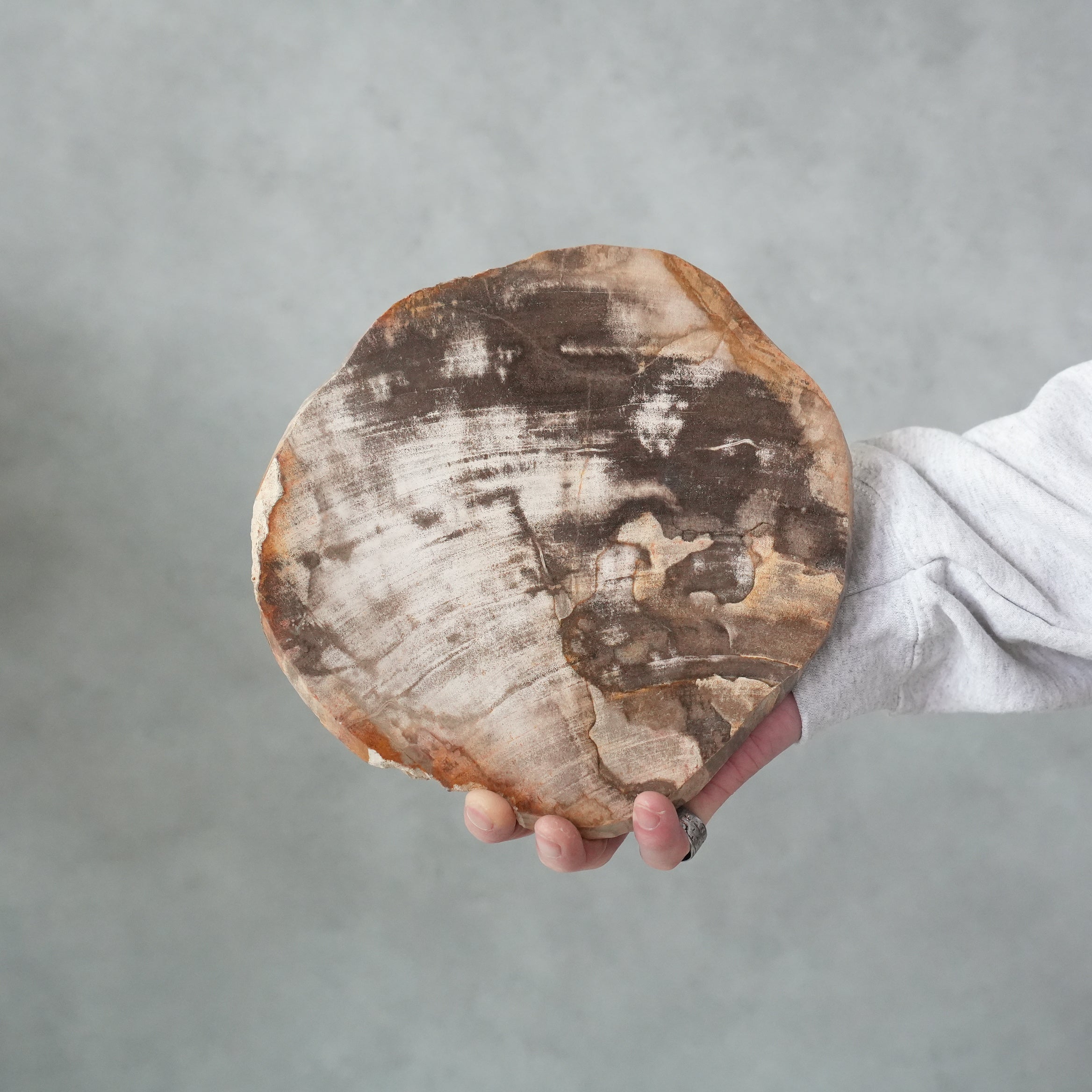 Wood Plate 20 Natural D