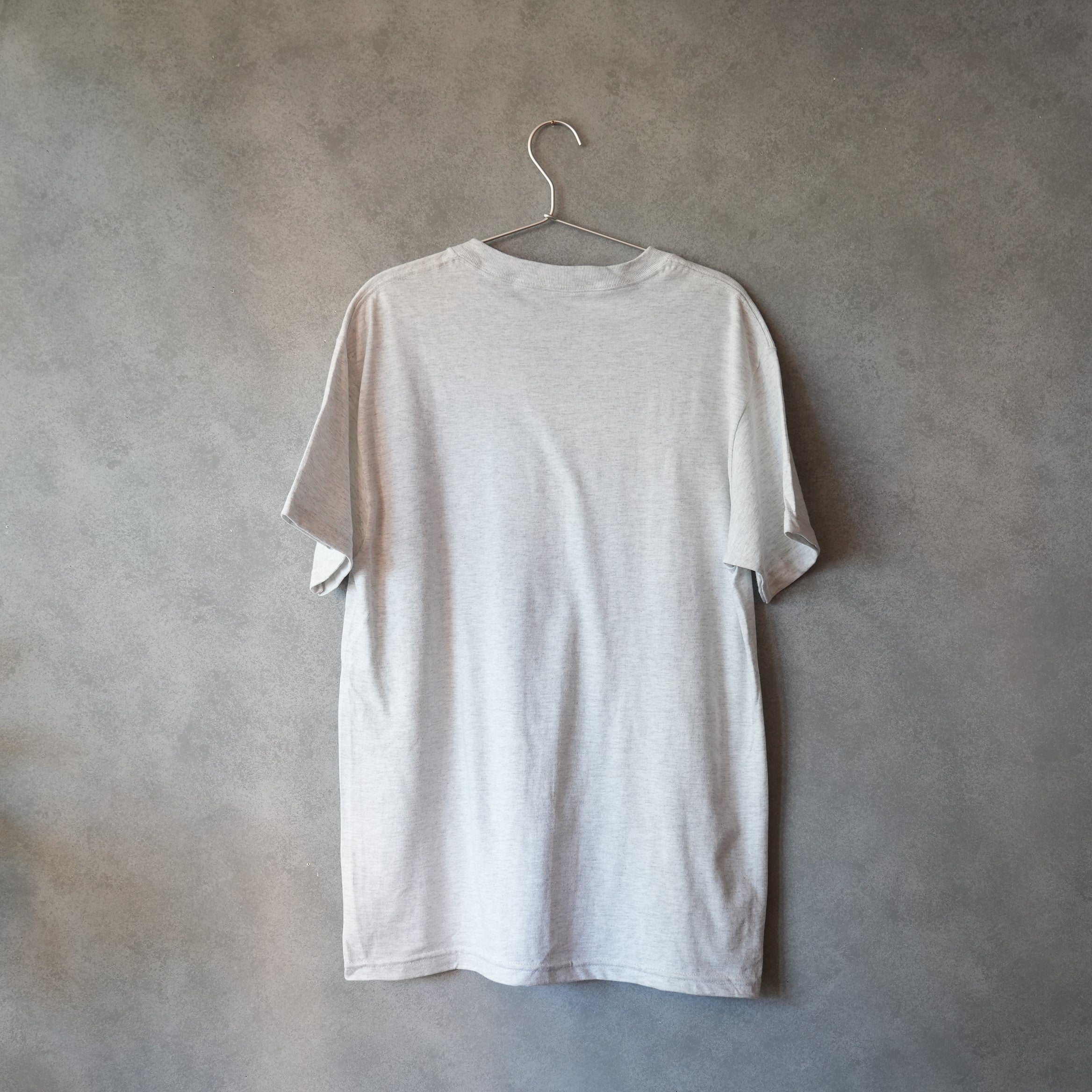 MISSING MARS LANDER Tee