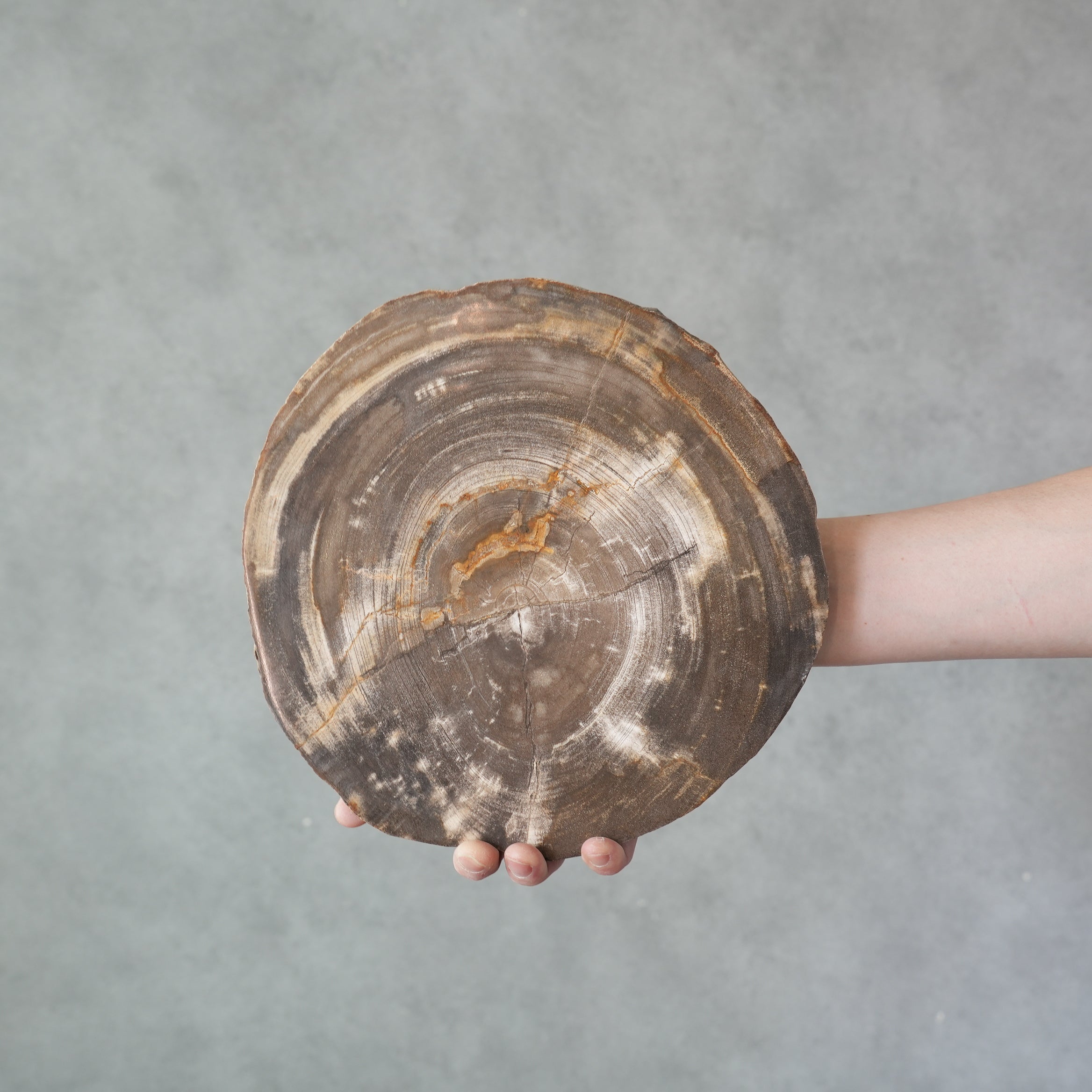 Wood Plate 20 Natural B