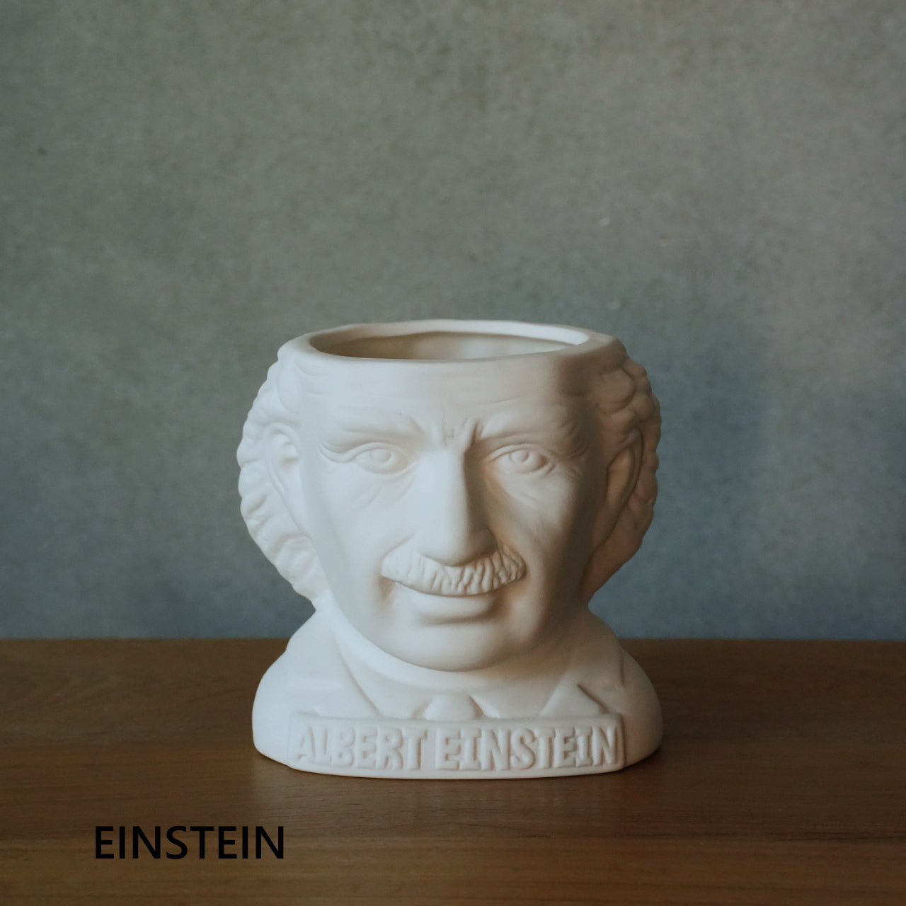 FIRTILE MINDS PLANTERS