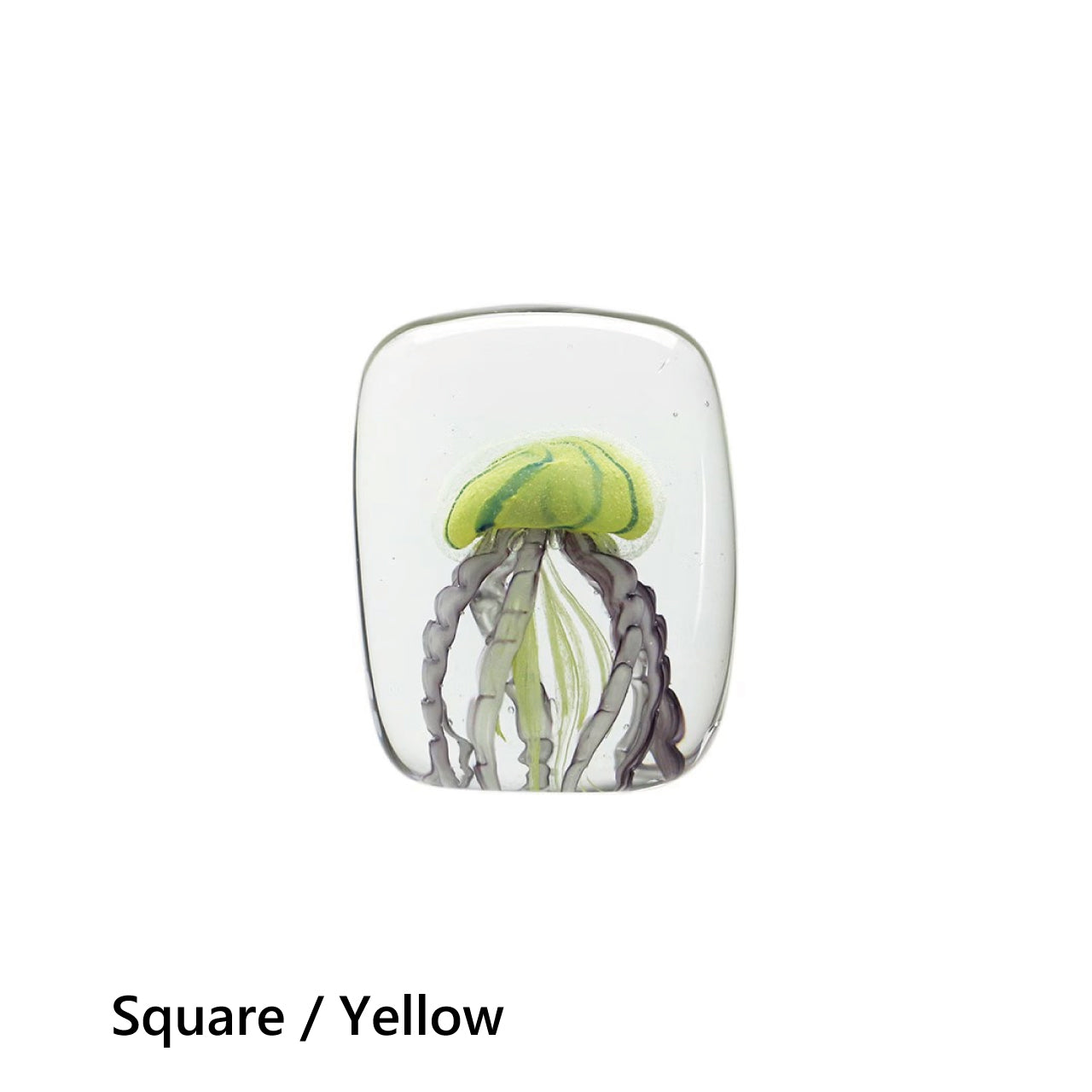 Jellyfish Twisted Leg