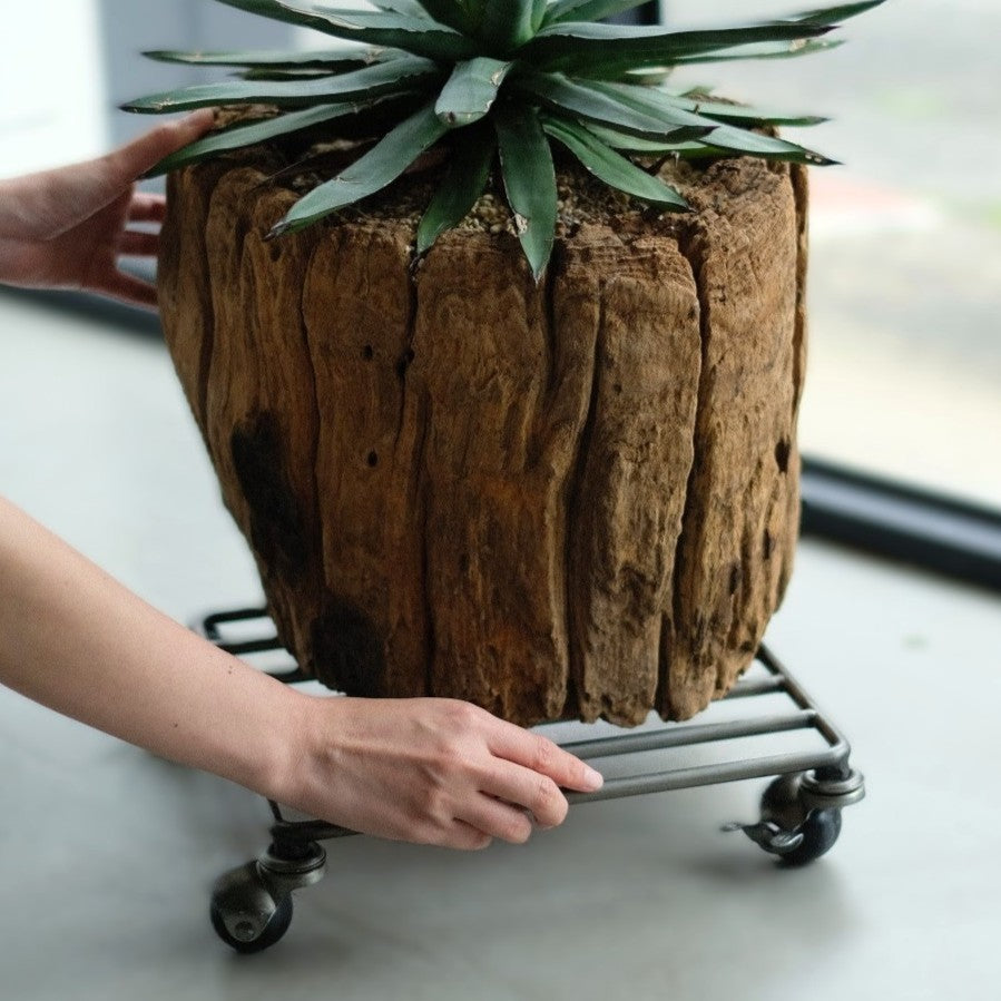 KNOP PLANT CADDY