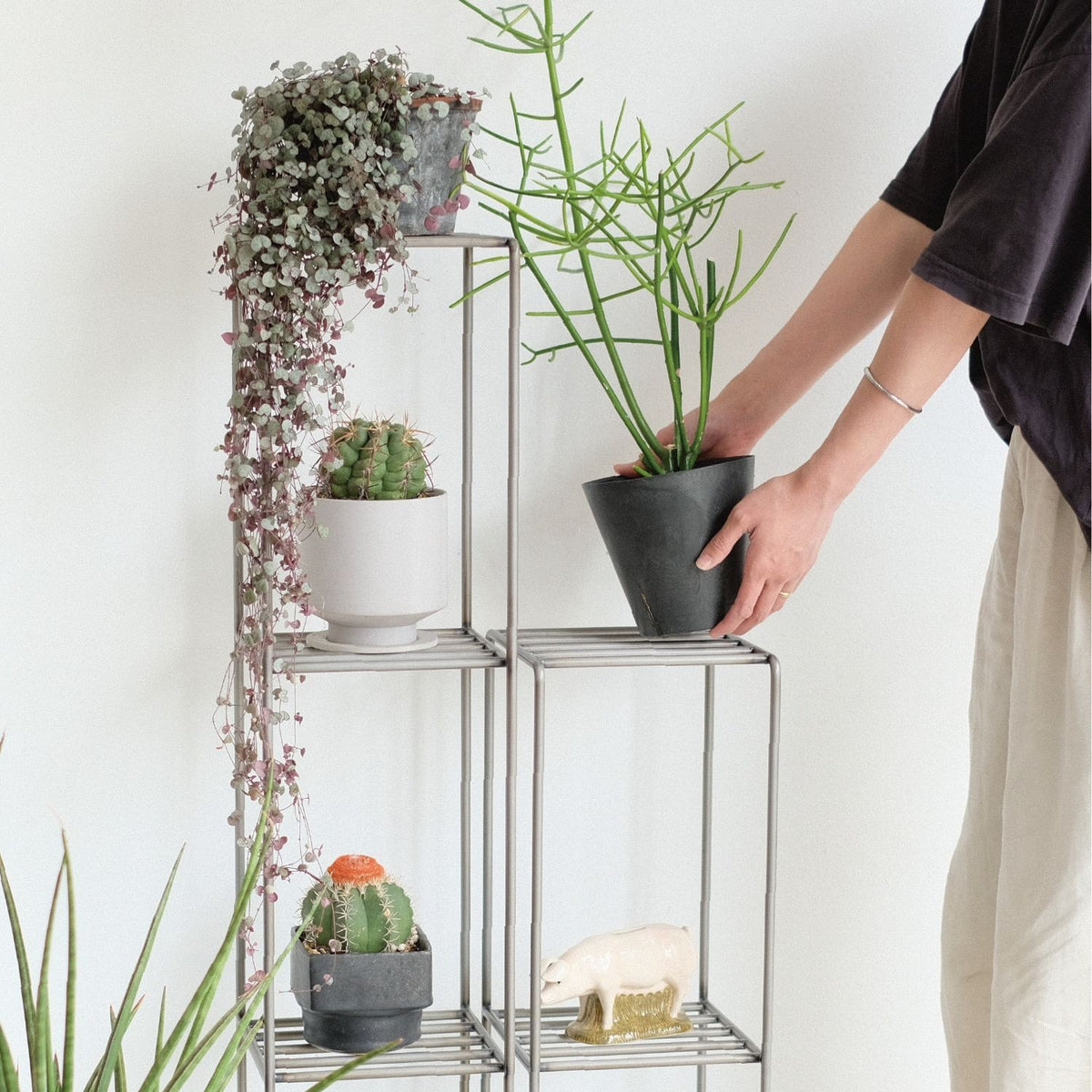 KNOP SHELF