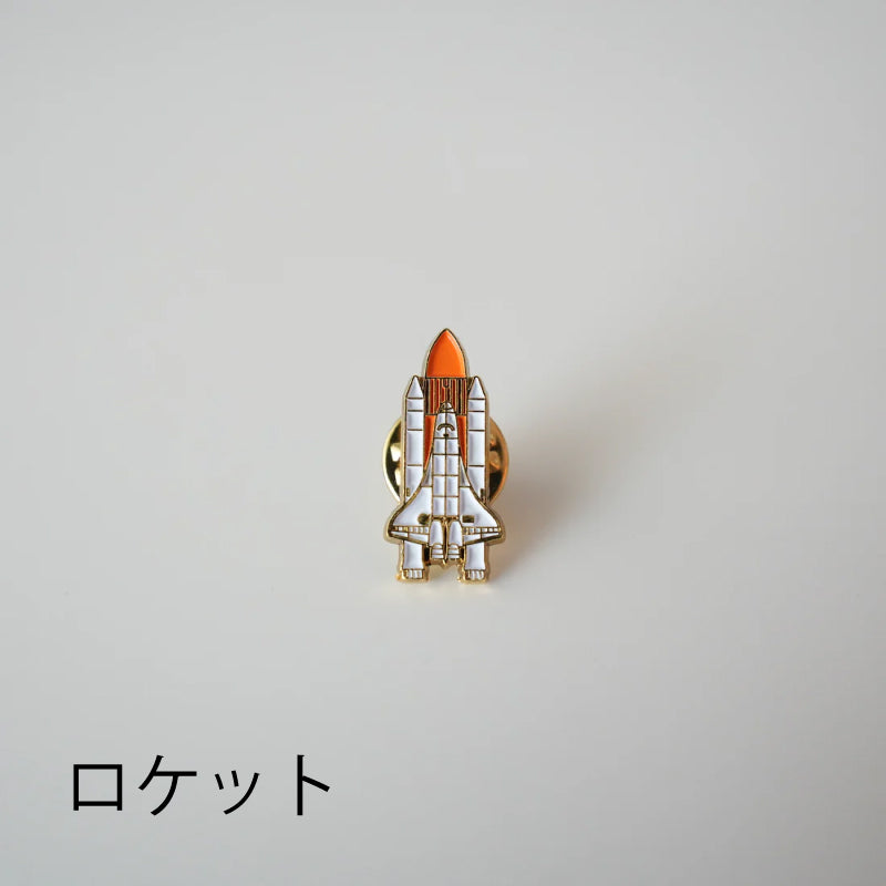 NASA PINS