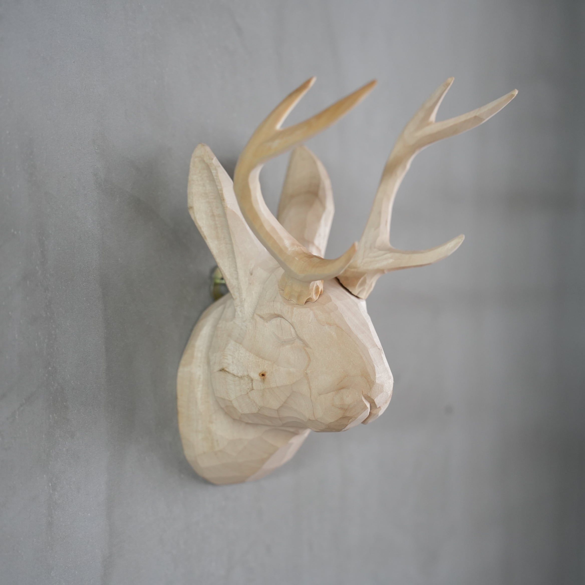 Wood Animal Head / Jackalope