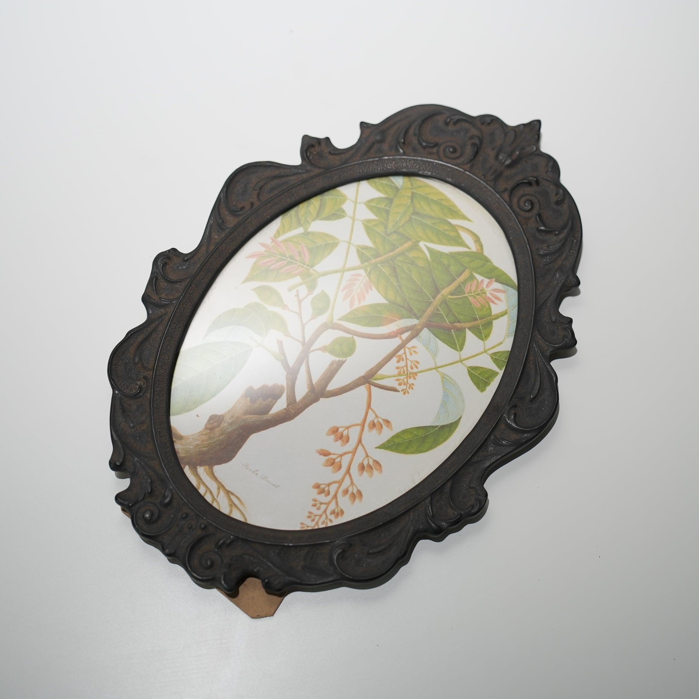 Ornament Frame Black　CF-004-04