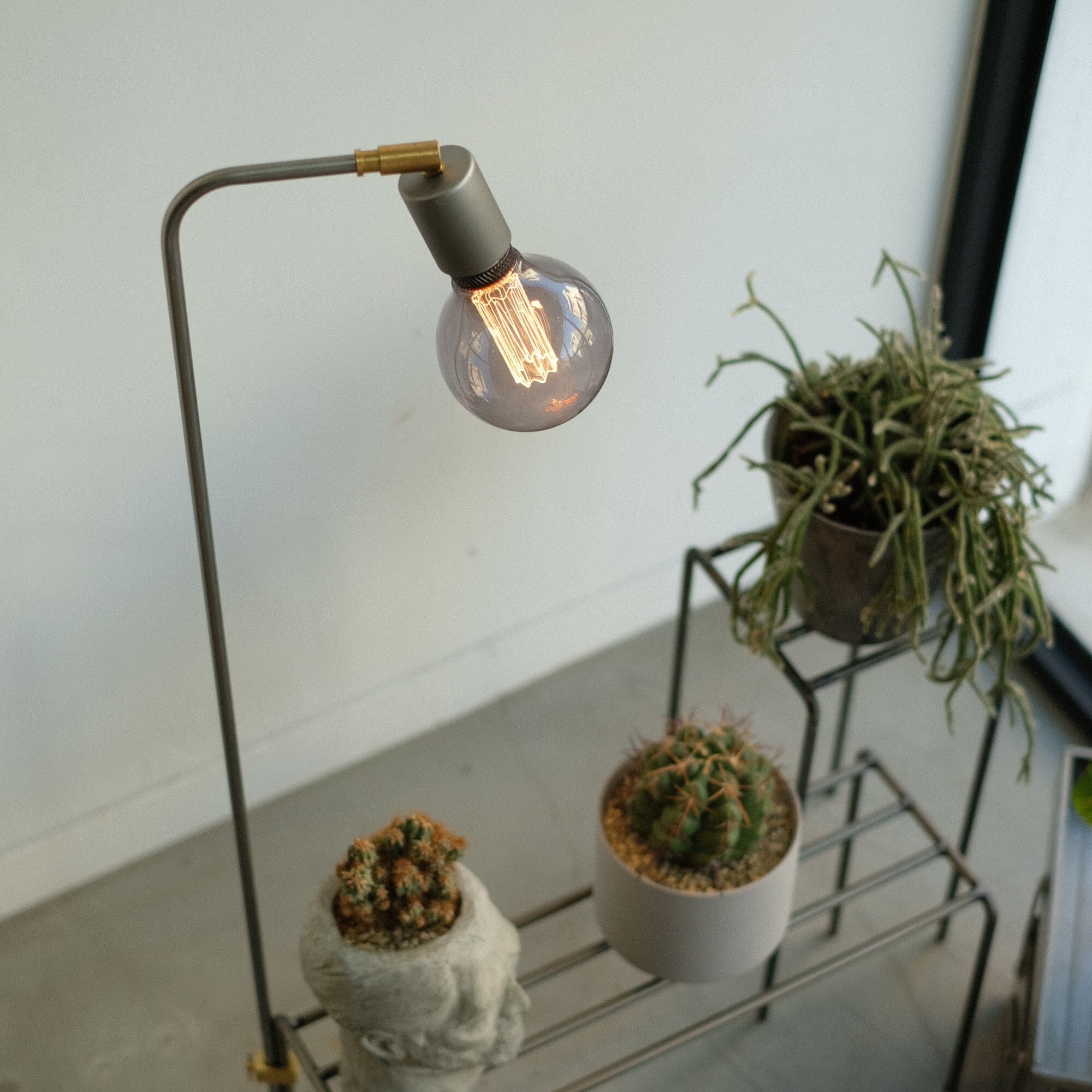 KNOP ADJUST LAMP