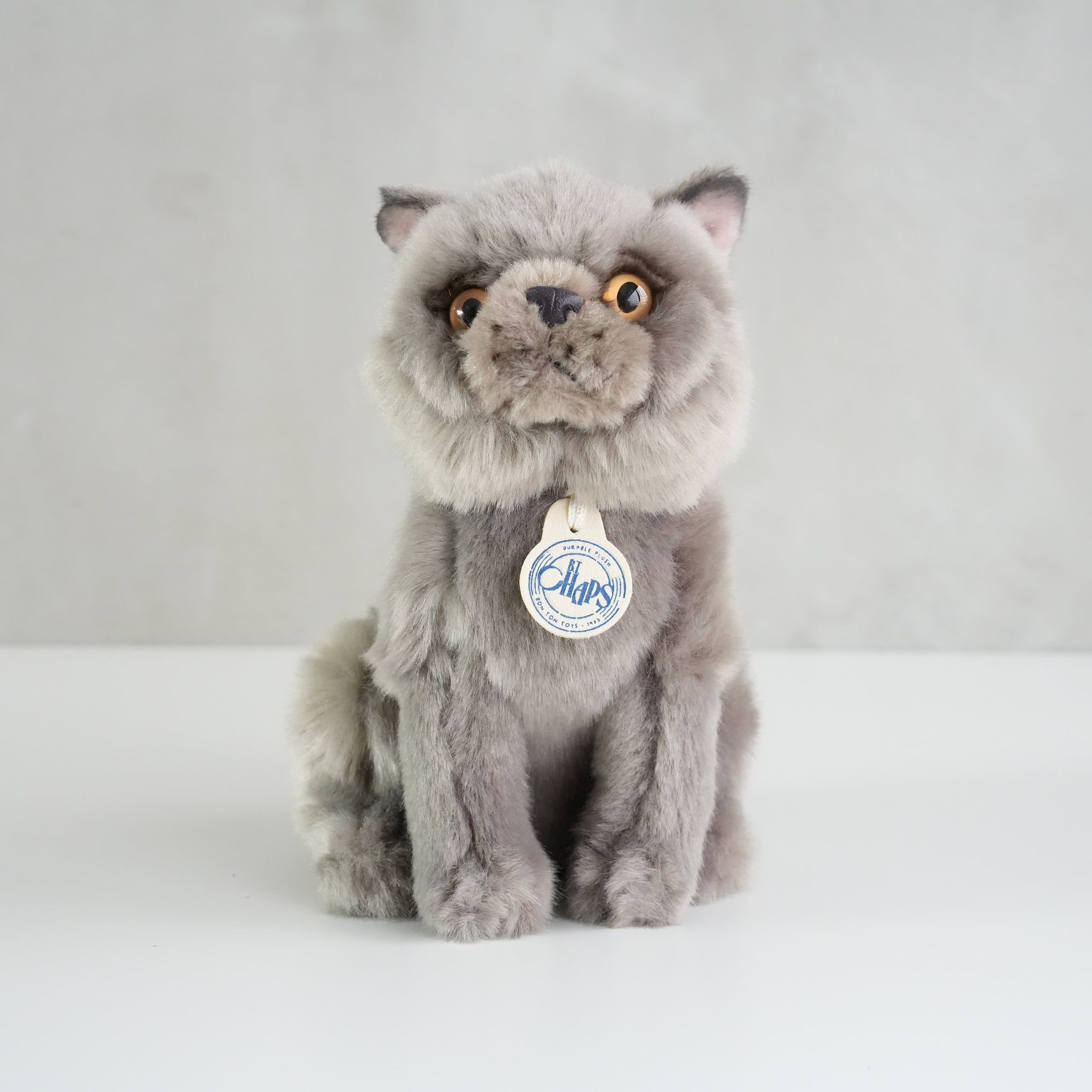 B.T. CHAPS / British Shorthair