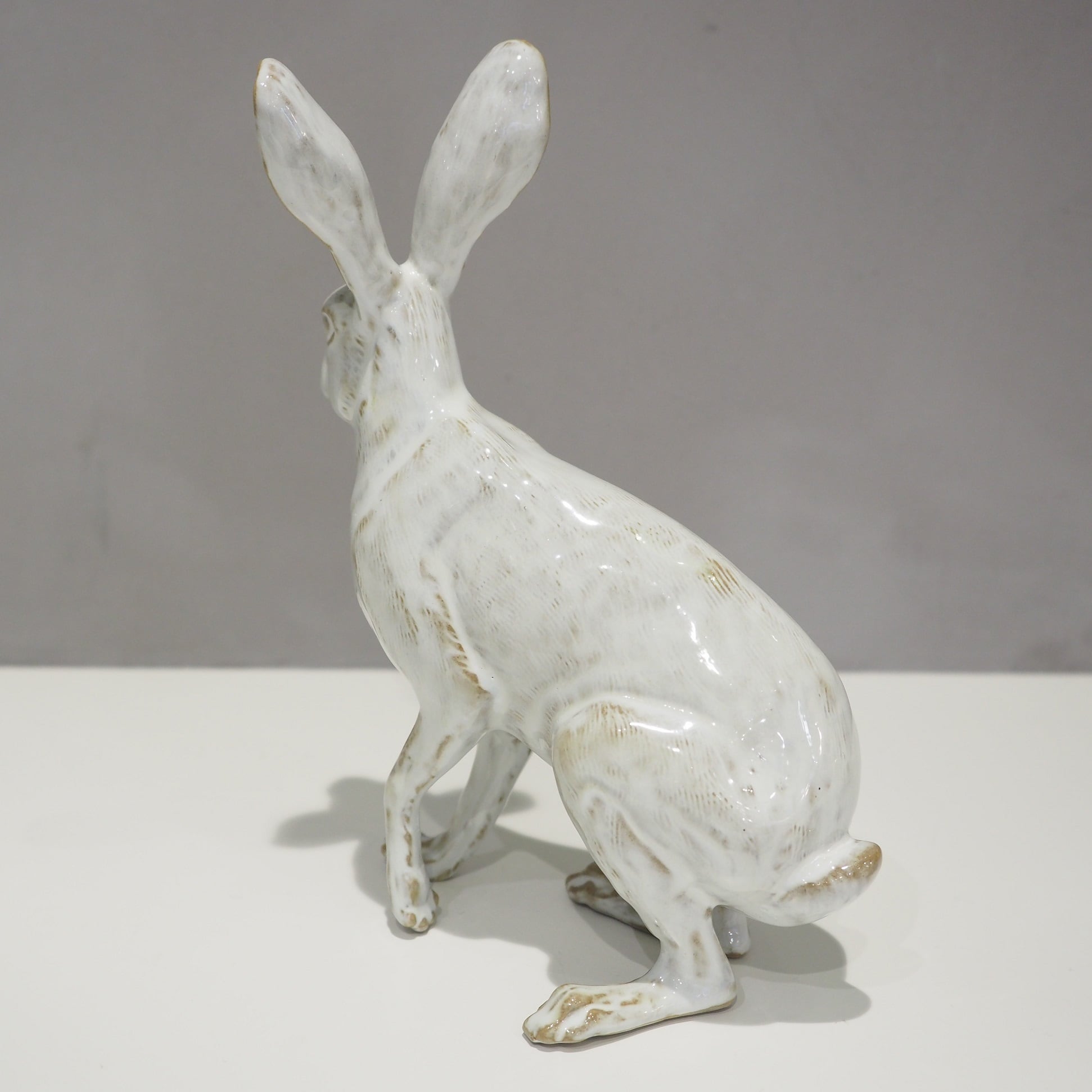 Hare PP-022