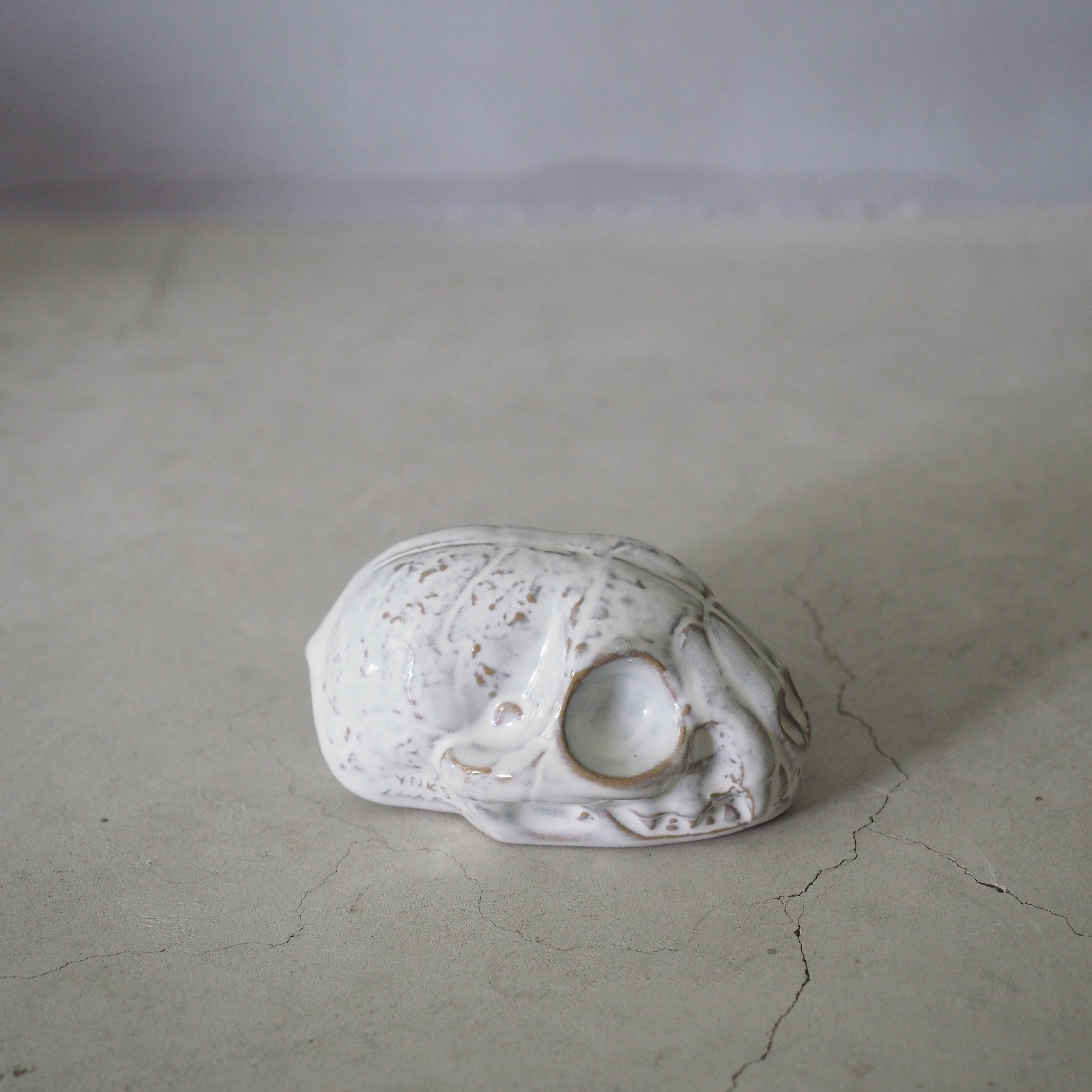 Cat Skull BSK-006