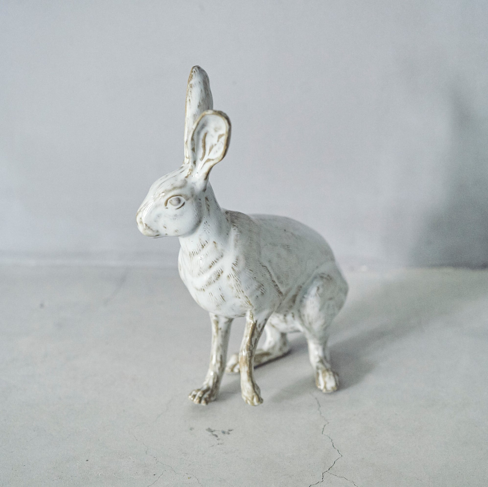 Hare PP-022