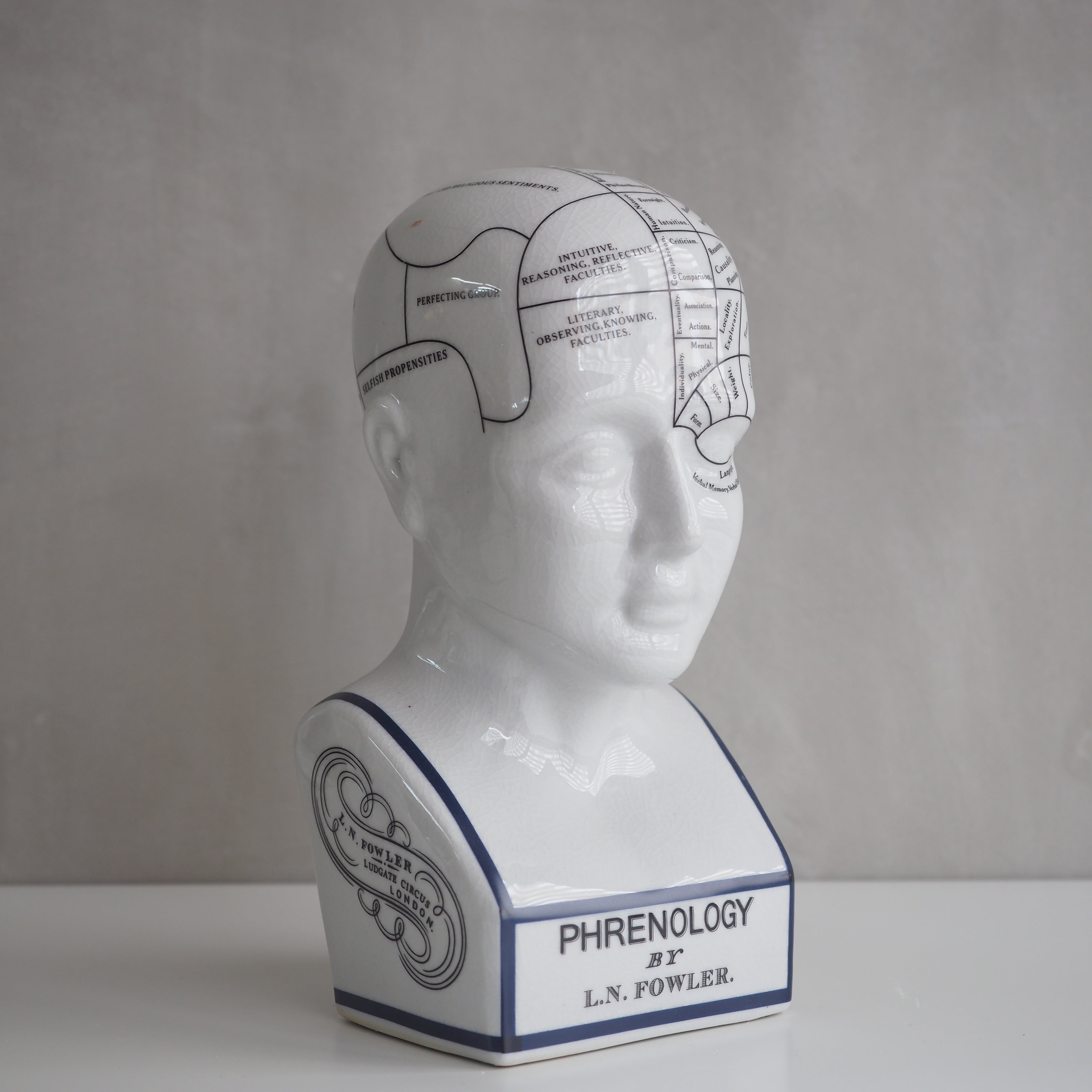 THE PHRENOLOGY L