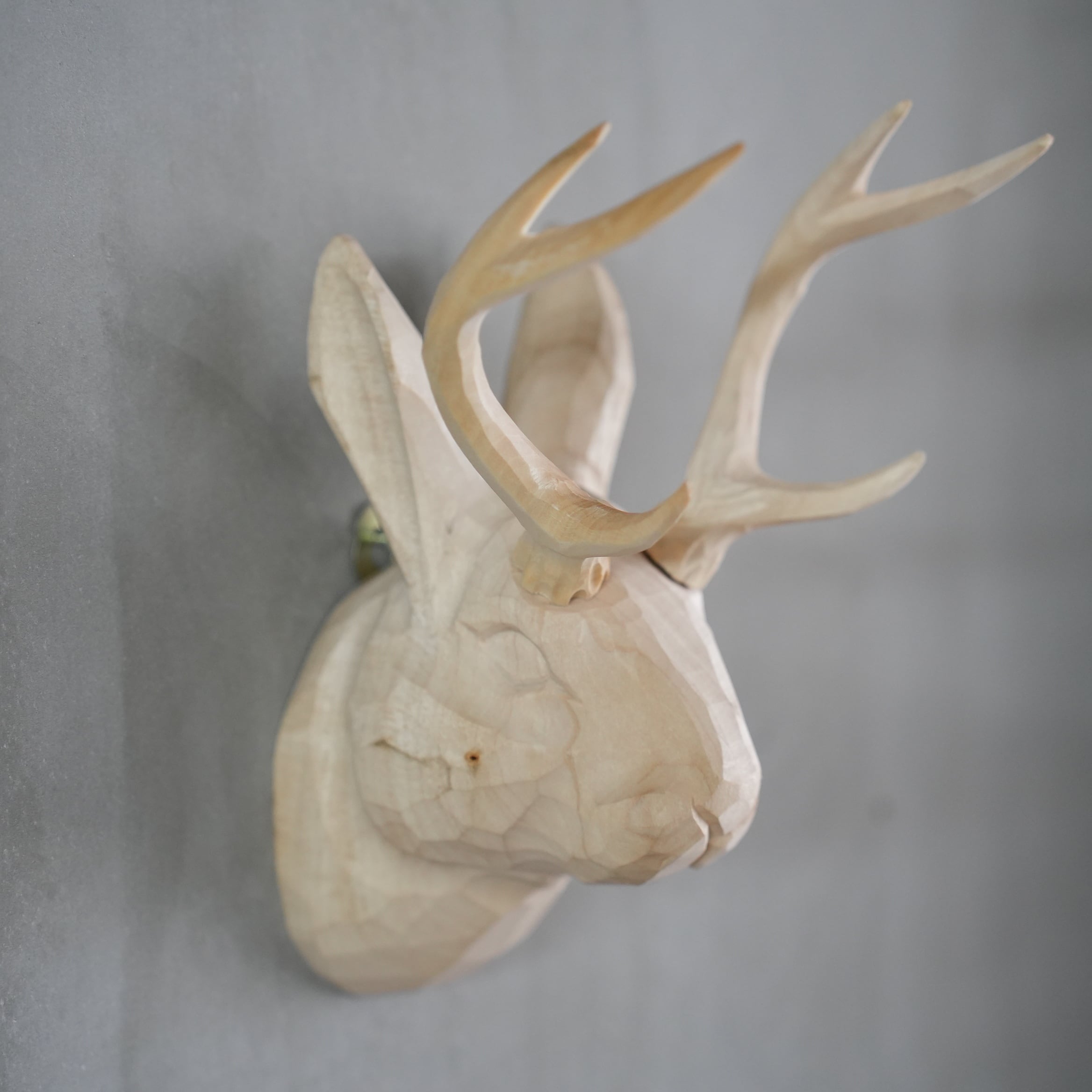 Wood Animal Head / Jackalope