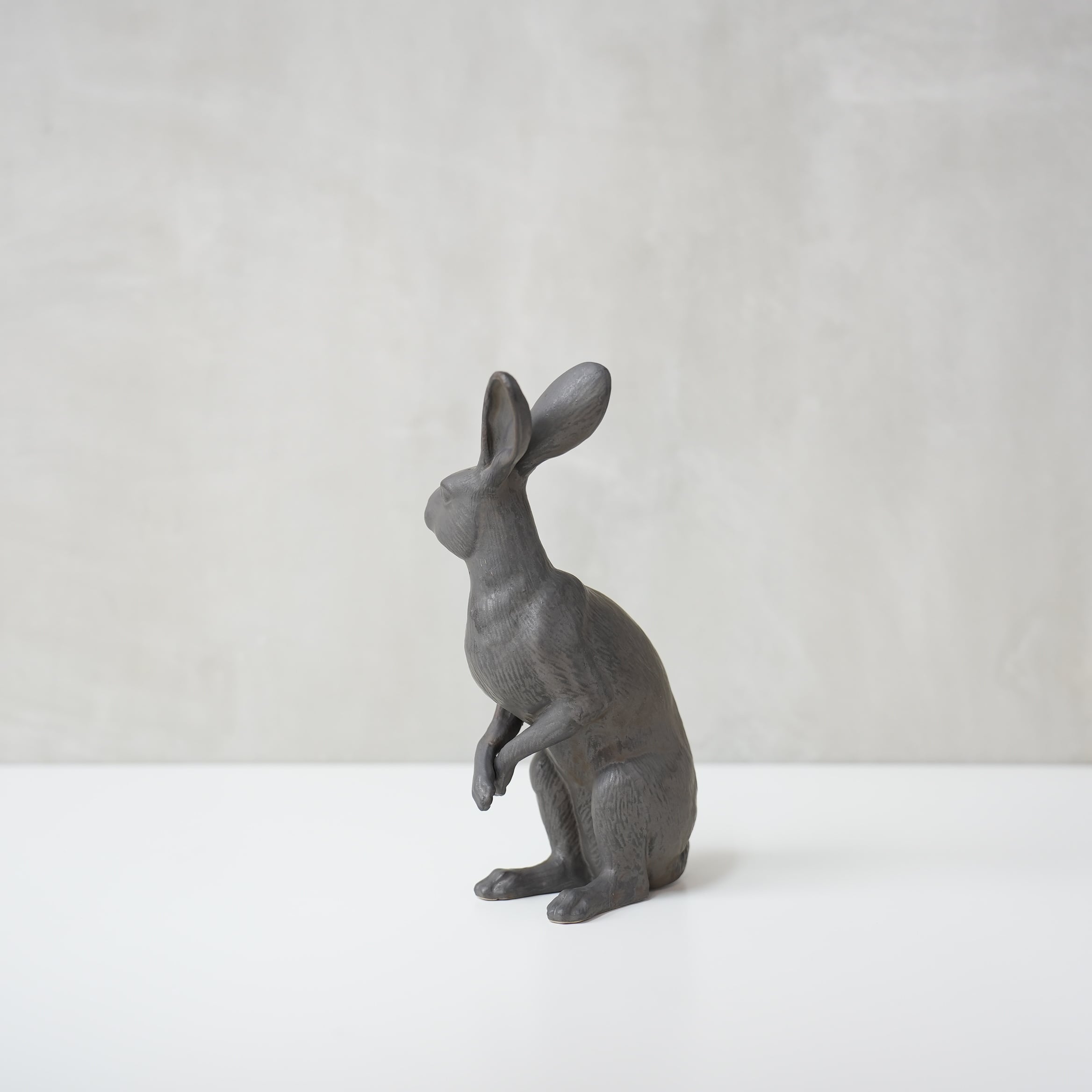 Curious Hare Black PP-023-04