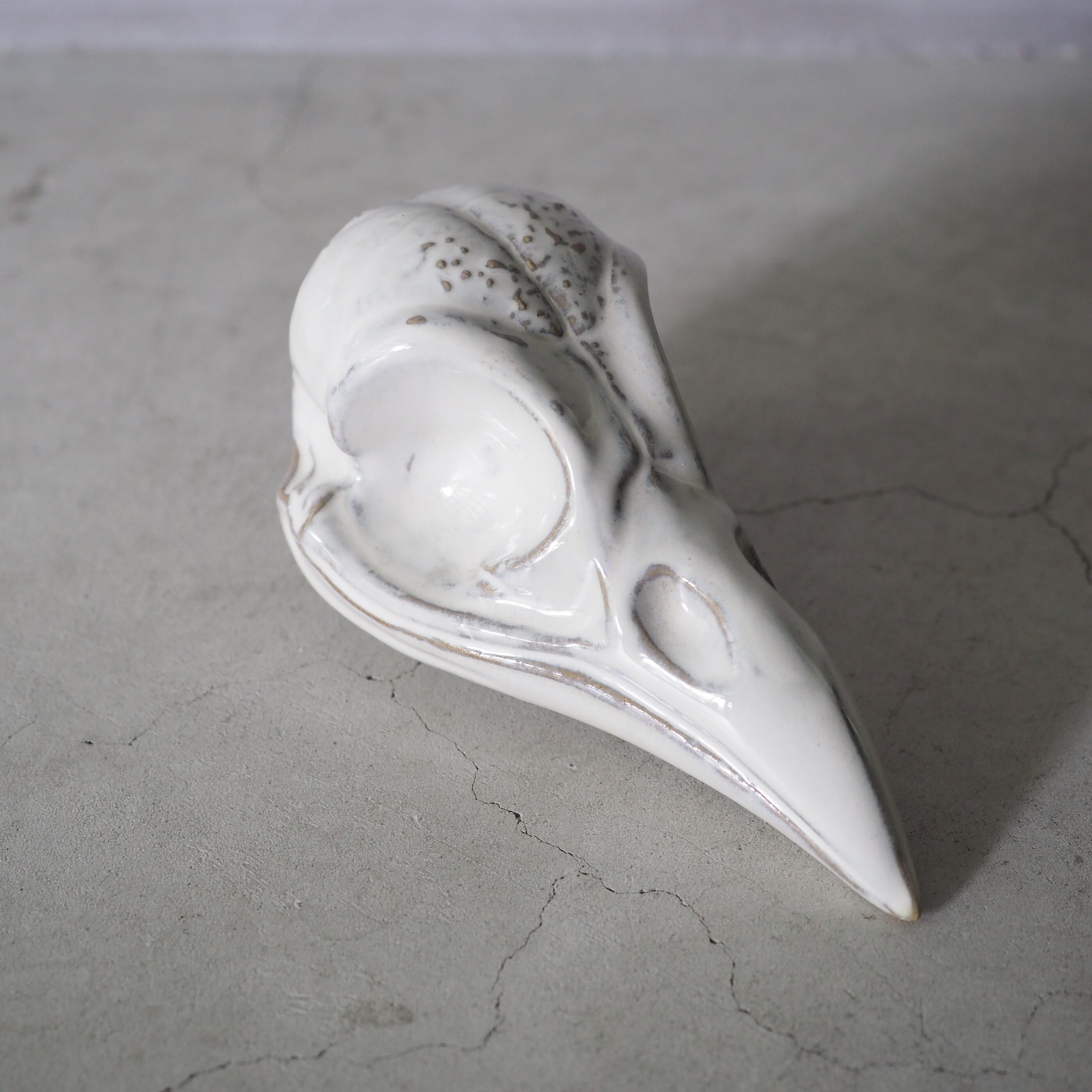 Crow Skull BSK-004