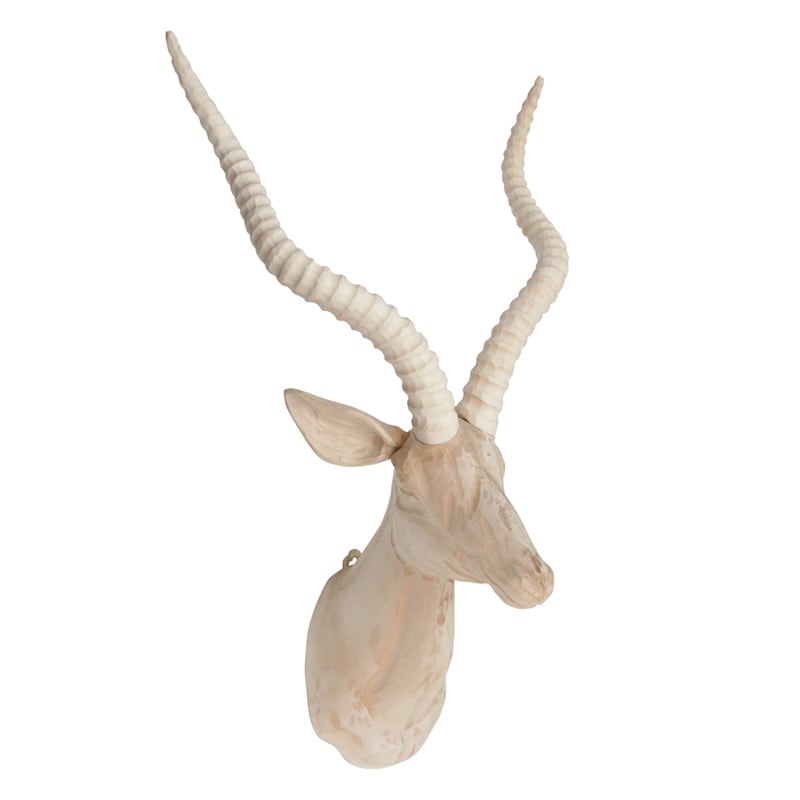 Wood Animal Head / Gazelle