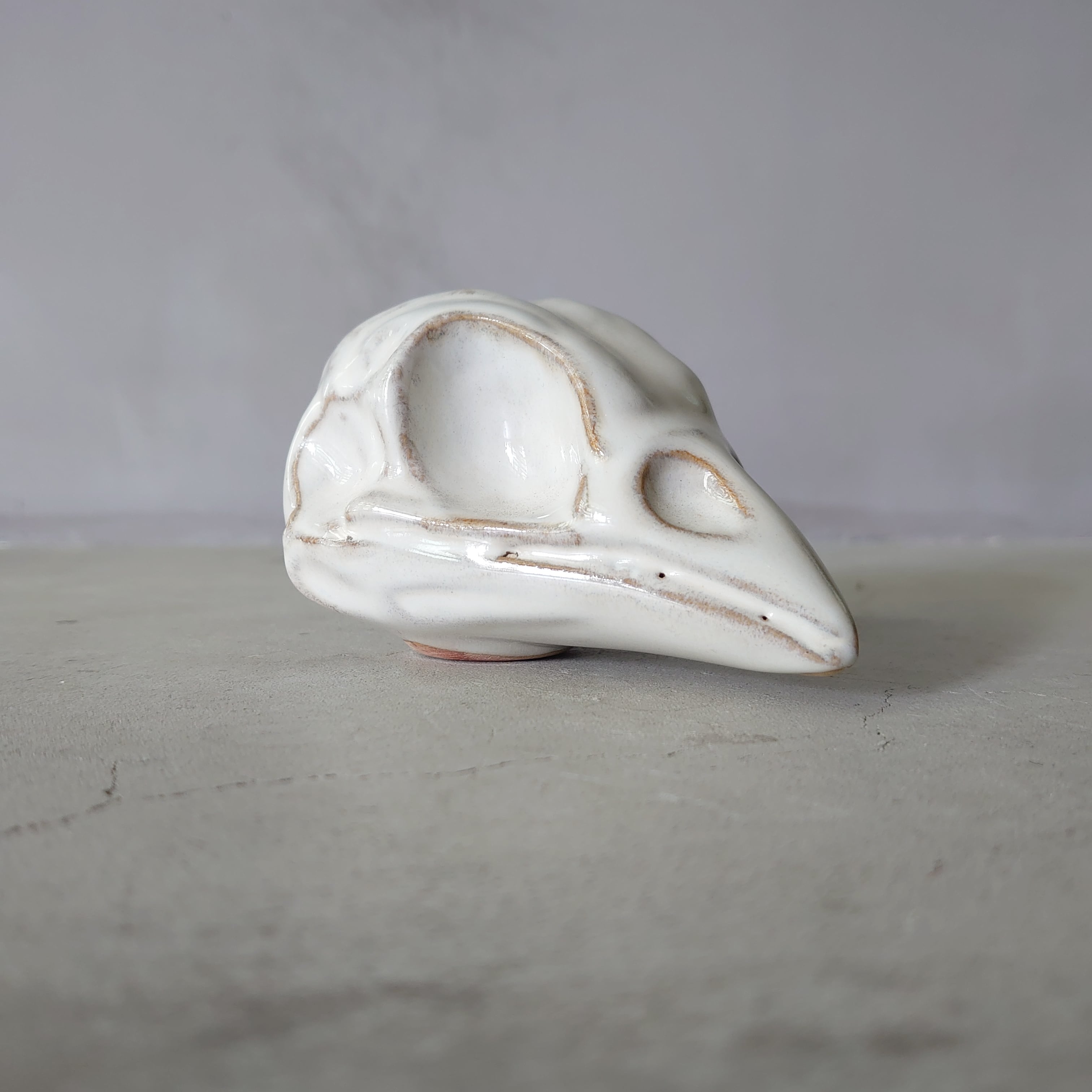 Sparrow Skull BSK-003