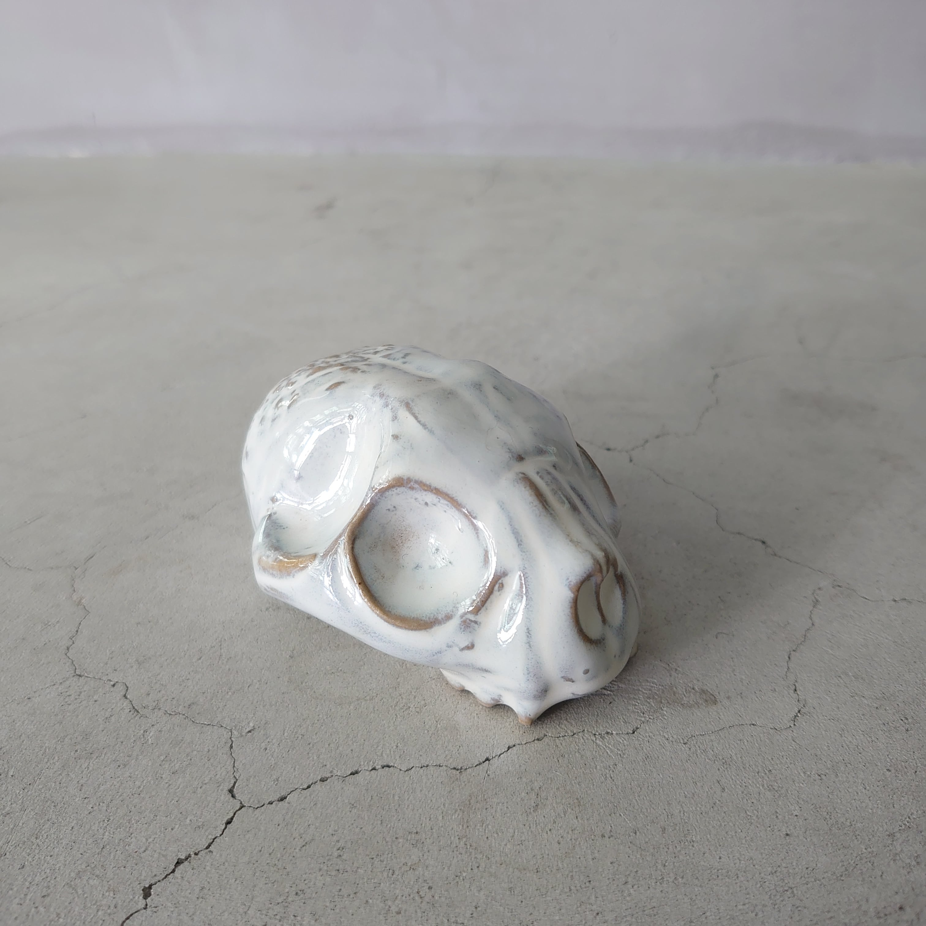 Baby Cat Skull BSK-005