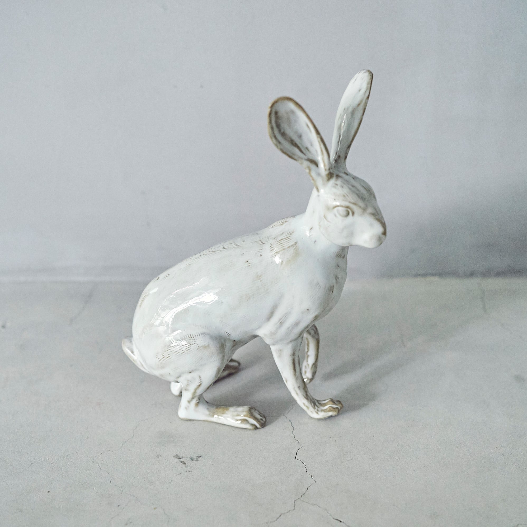 Hare PP-022